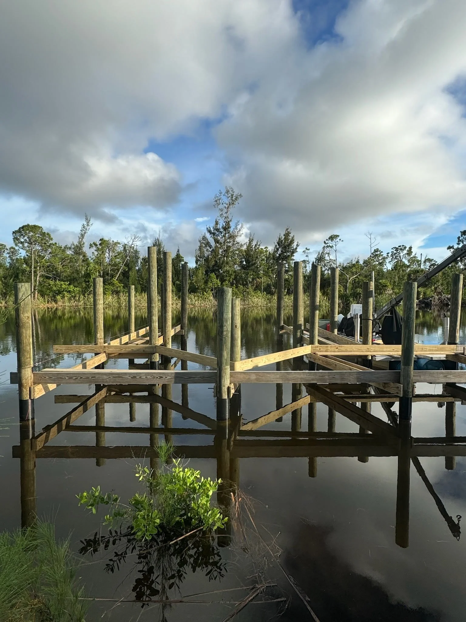 7355925634555726673 2.JPEG