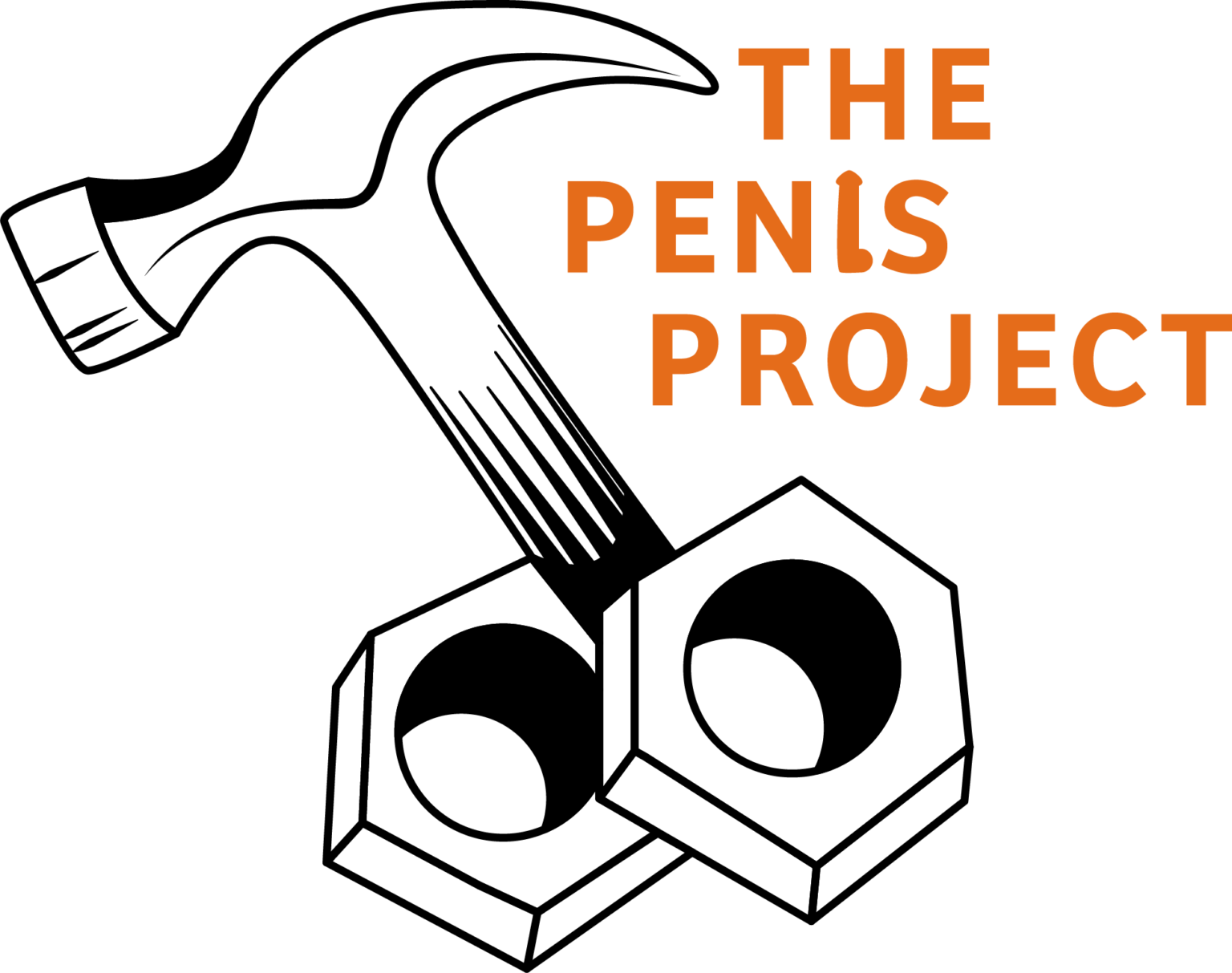 Text reading 'The Penis Project' with a black background and orange lettering.