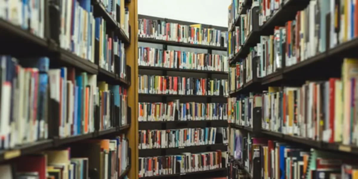 The $3 Million Question: Library Priorities on the Ballot