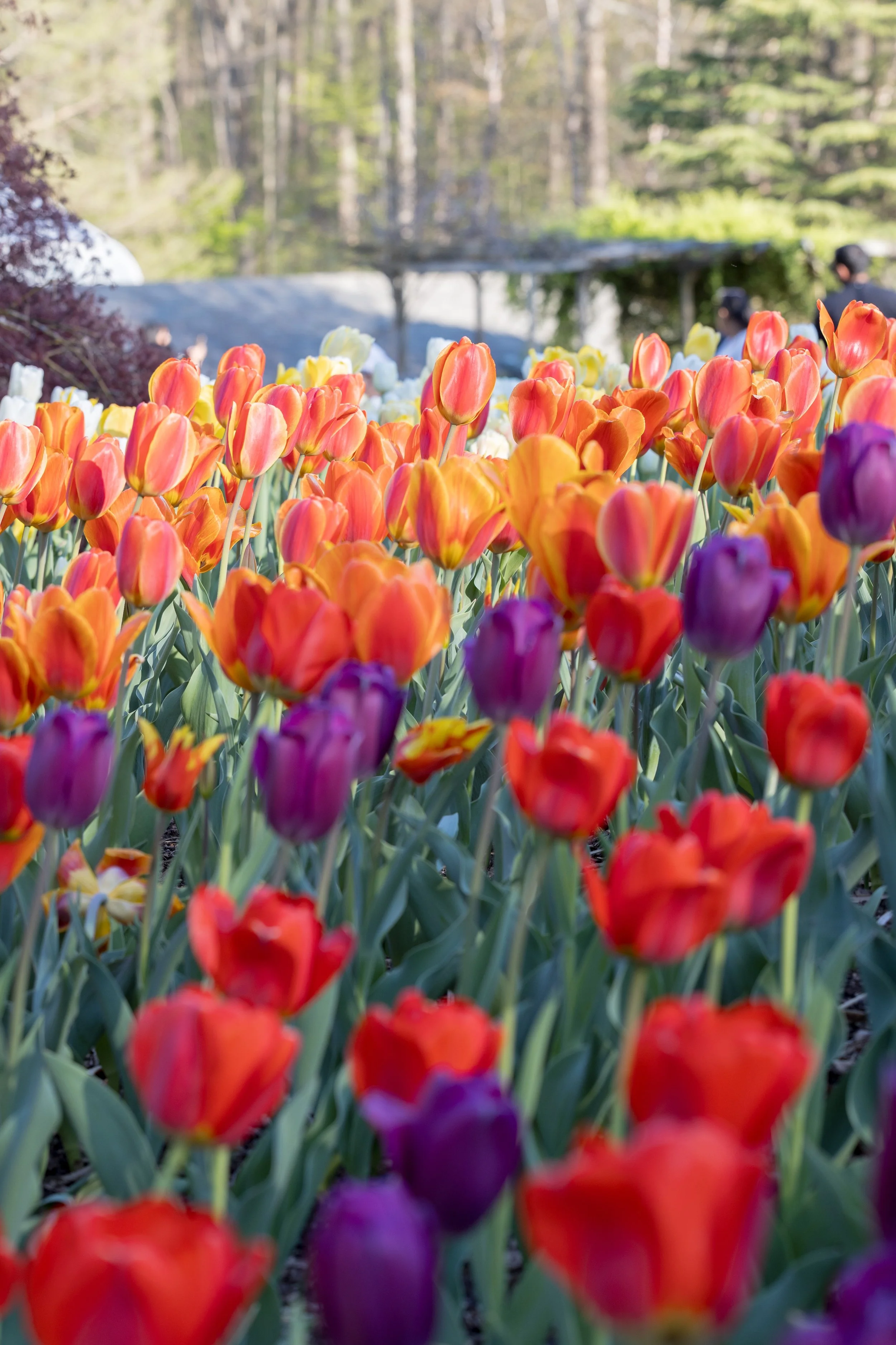 Wedding Portraits-151.jpg