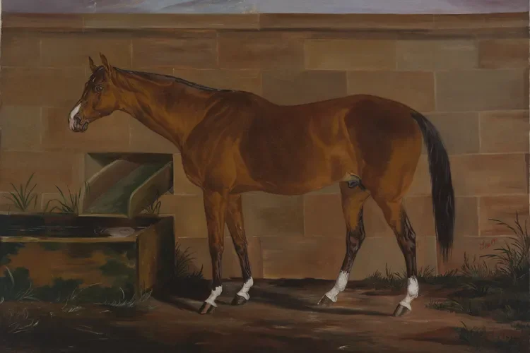A painted image of a brown horse with a black mane and tail standing on a dirt ground against a brown wall background.