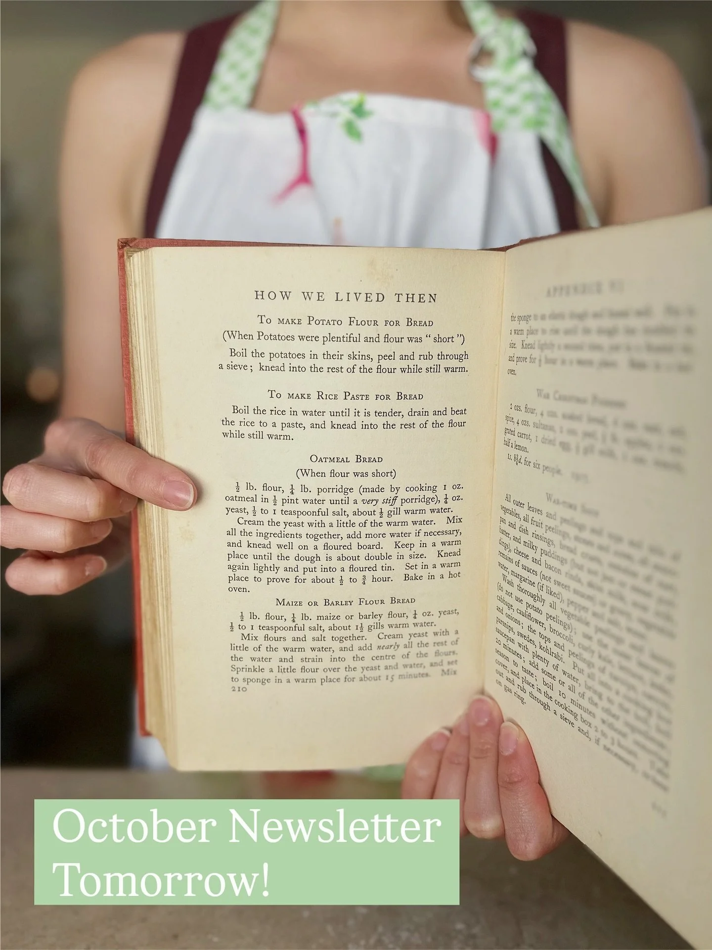 New month, new newsletter! In tomorrow&rsquo;s October edition, I talk writing updates, admit to a rare book shopping addiction, and share my experience trying to follow a WWI recipe. Was it a Bake Off fantasy or technical challenge nightmare? Subscr