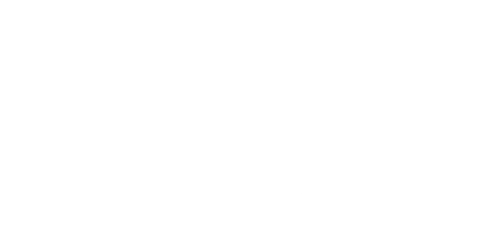 reigan viescia