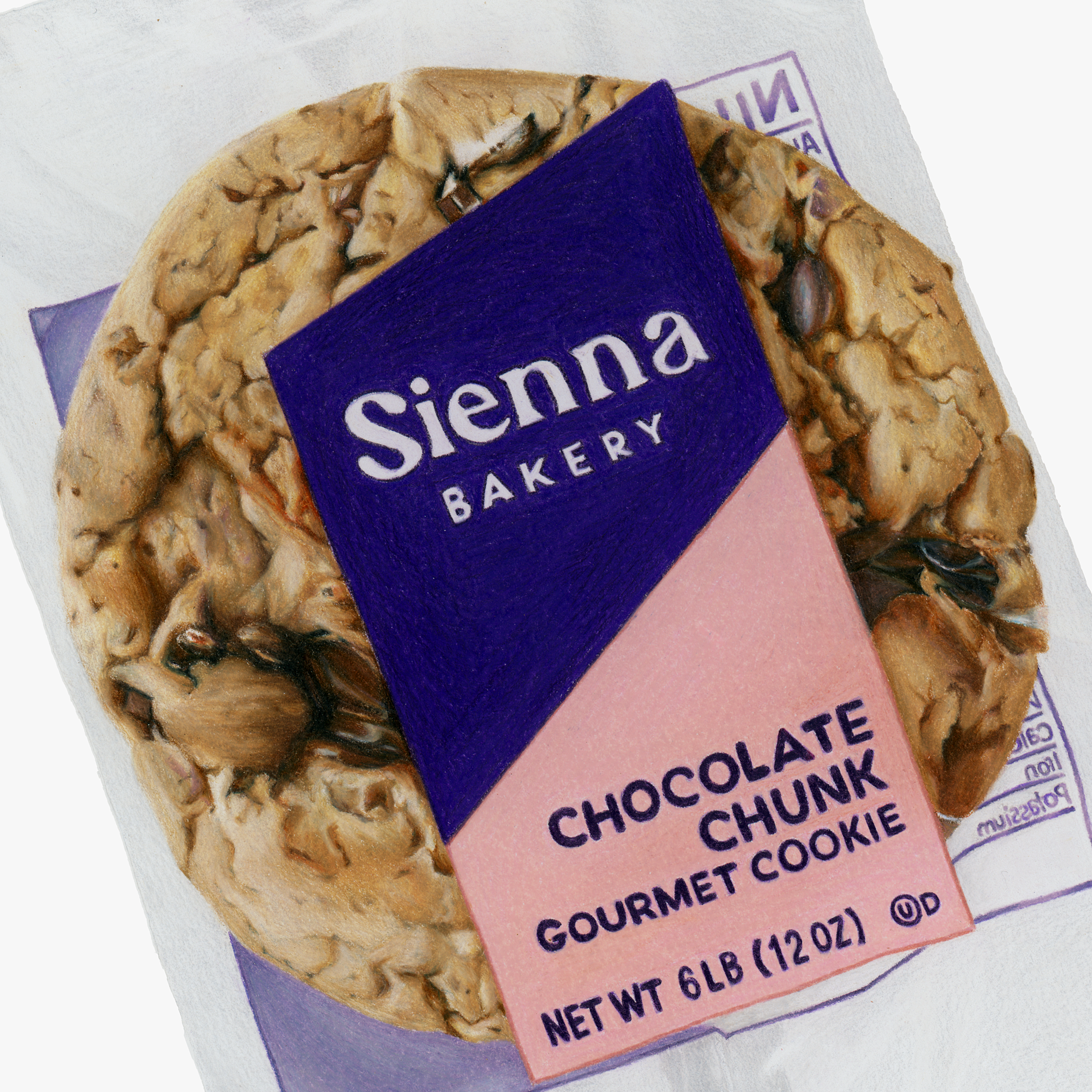 reiganviescia_sienna_chocolatechip_cookie_closeup.png