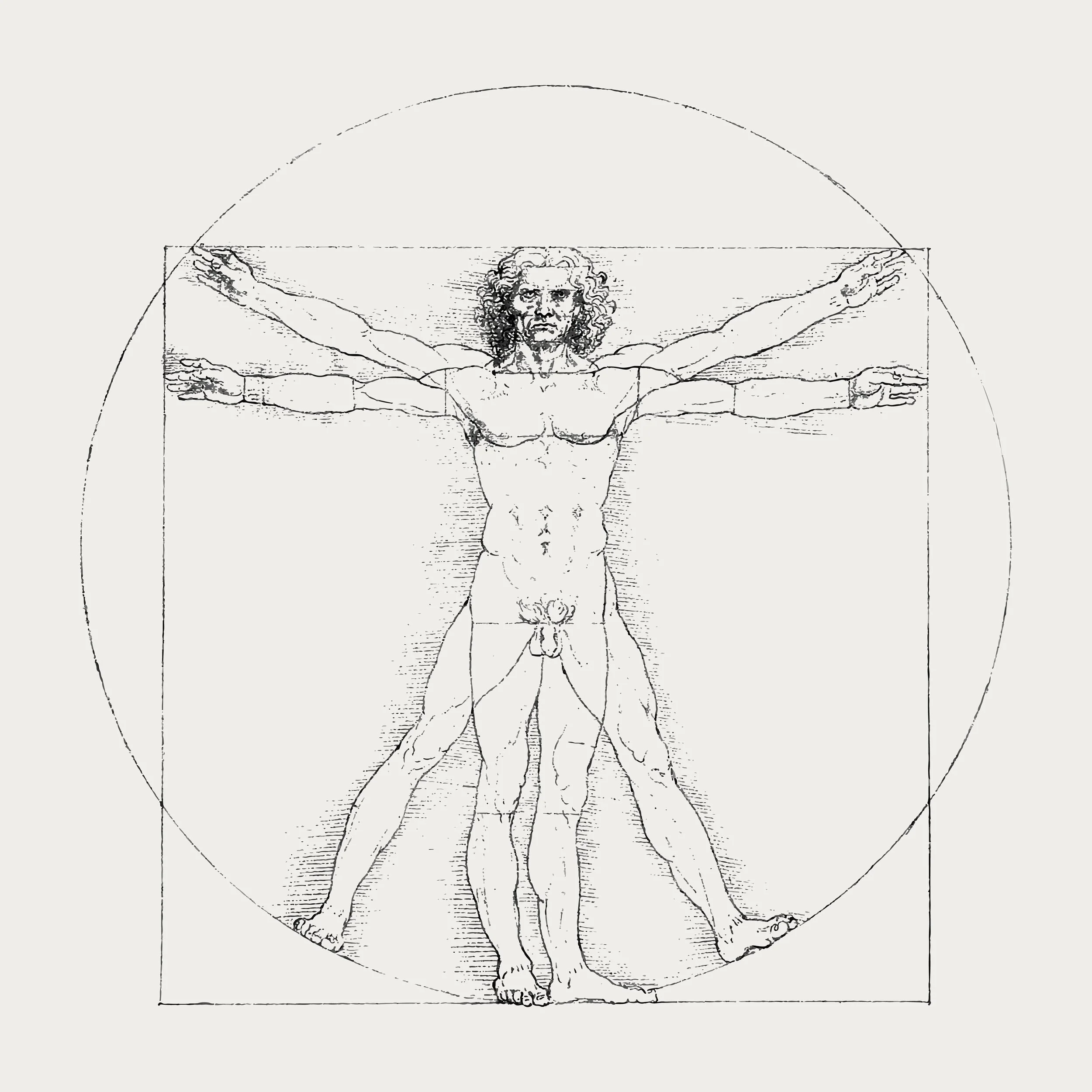 Sketch of Leonardo da Vinci's Vitruvian Man depicting a male figure in two superimposed positions with arms and legs apart inside a square and circle.