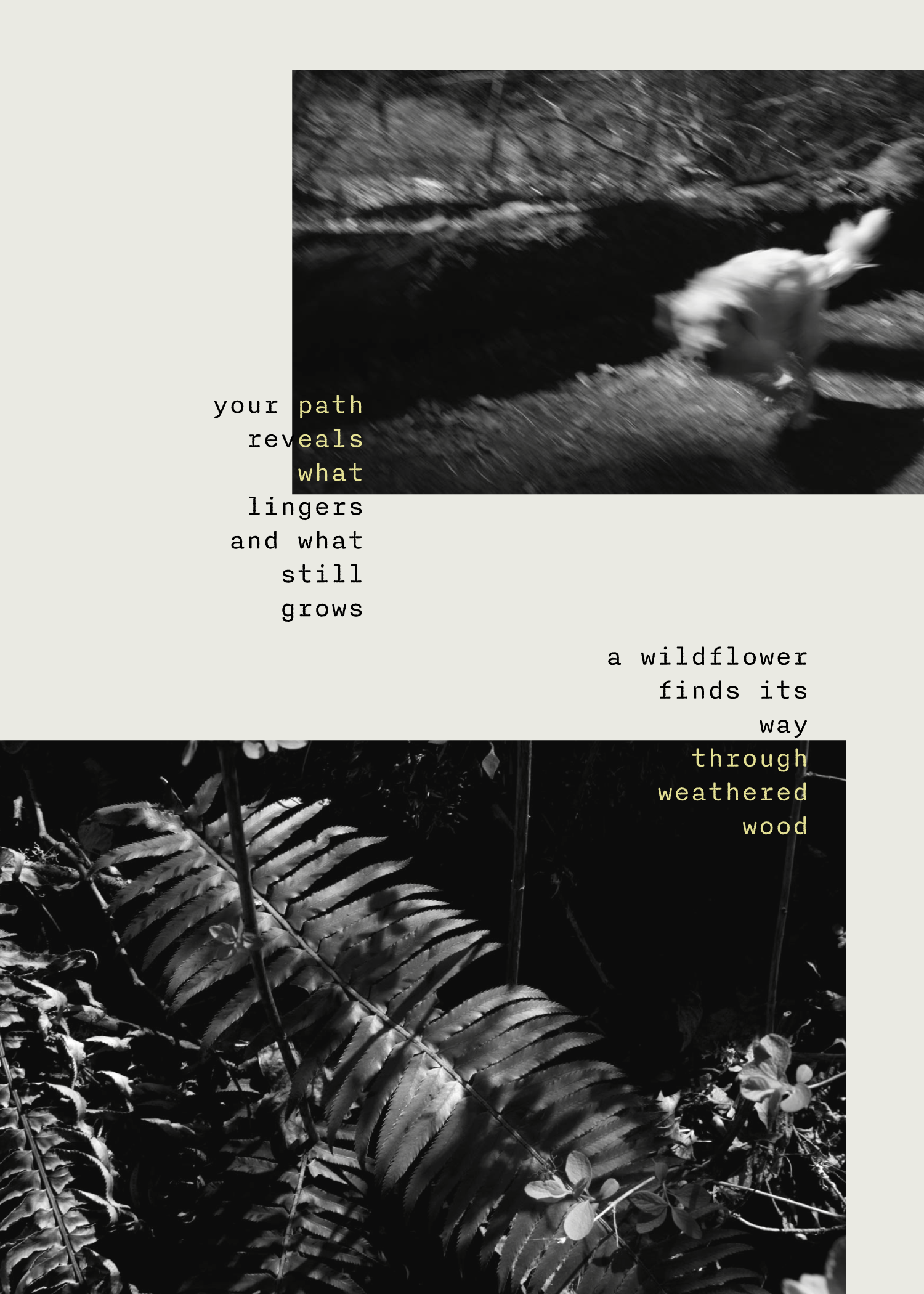 Zine - a love note to fairy ponds-02.png