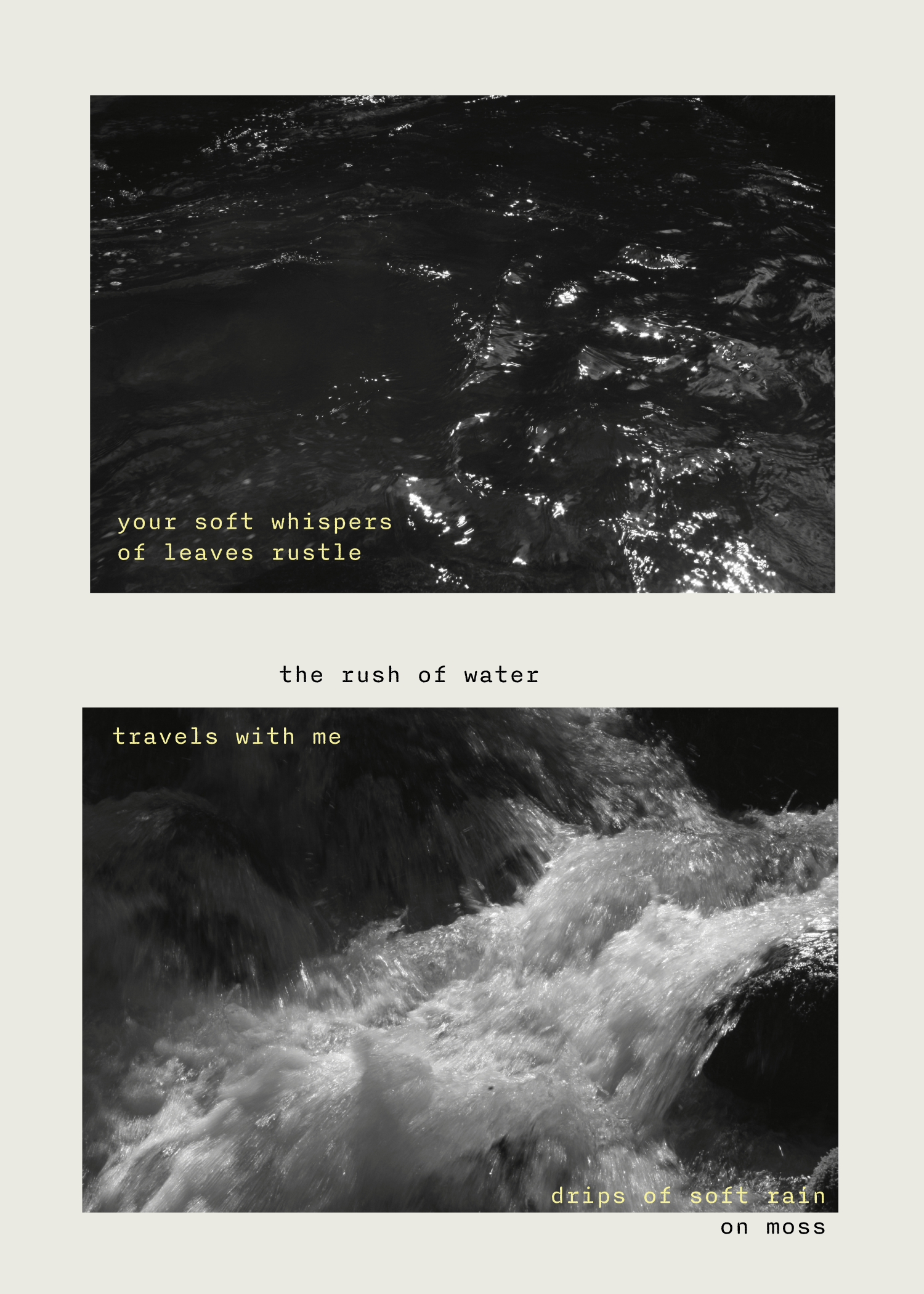 Zine - a love note to fairy ponds-04.png