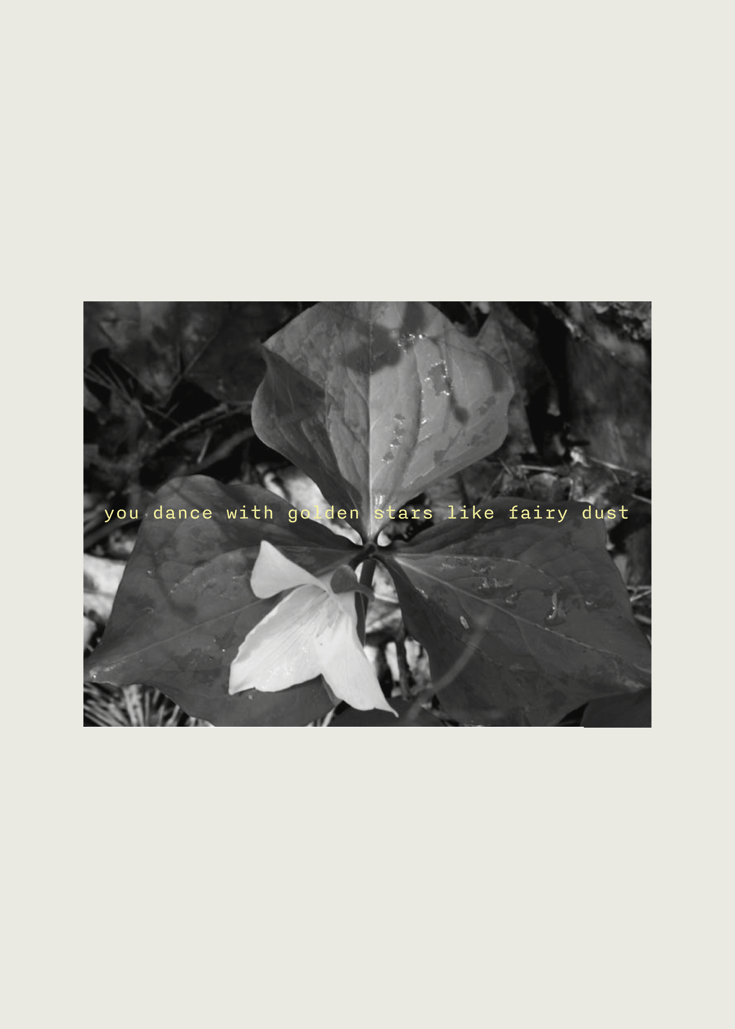 Zine - a love note to fairy ponds-05.png