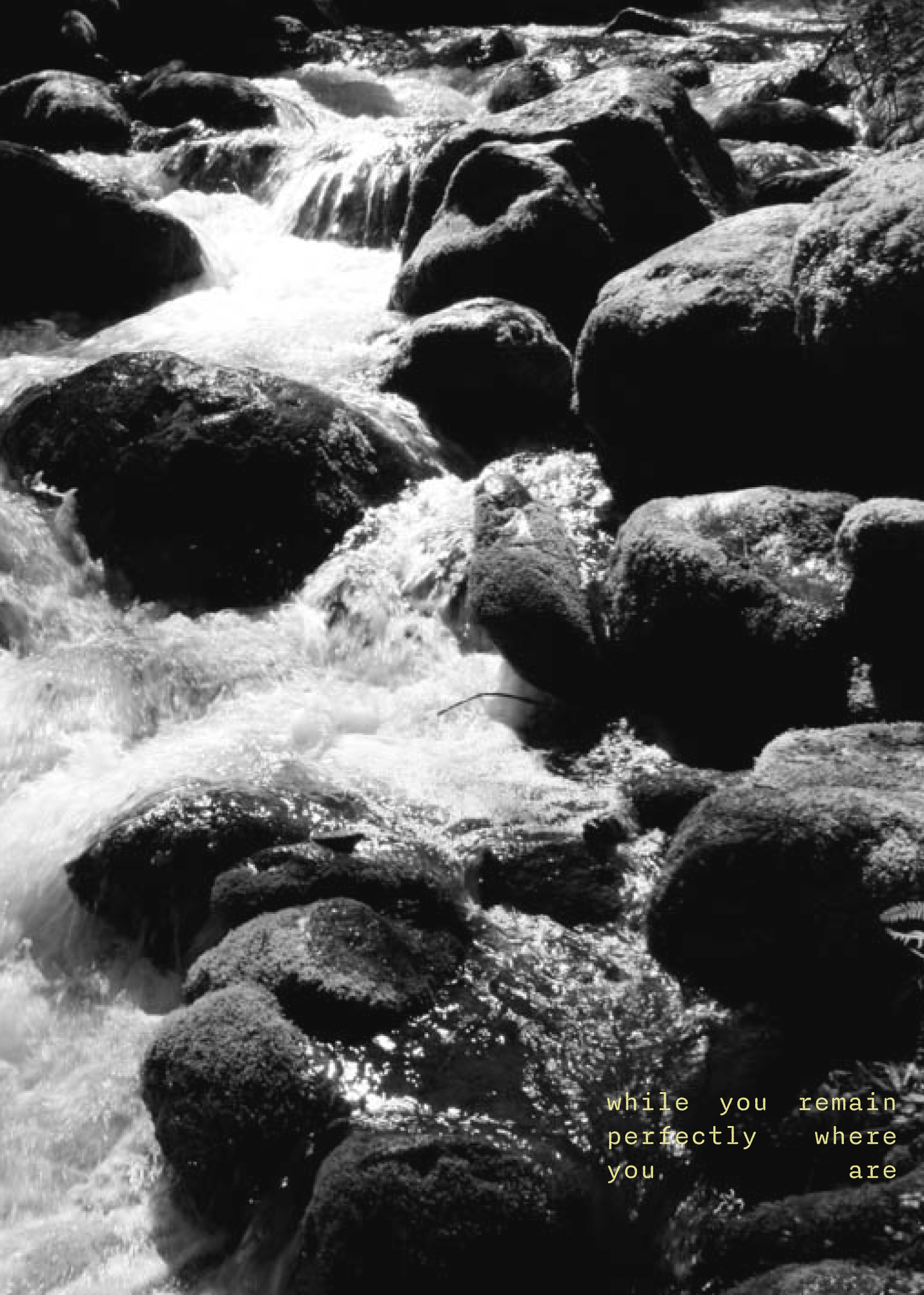 Zine - a love note to fairy ponds-07.png