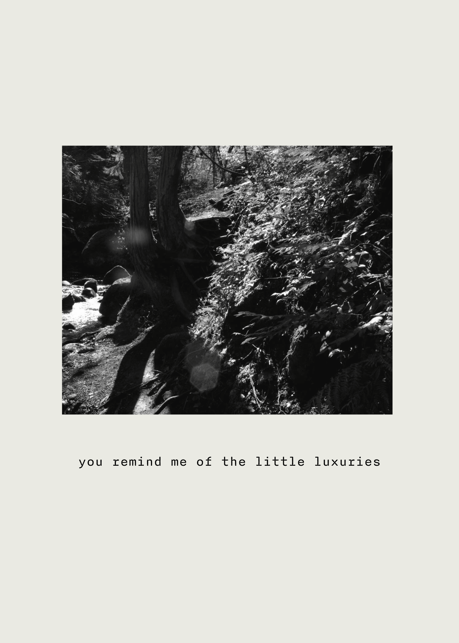 Zine - a love note to fairy ponds-08.png