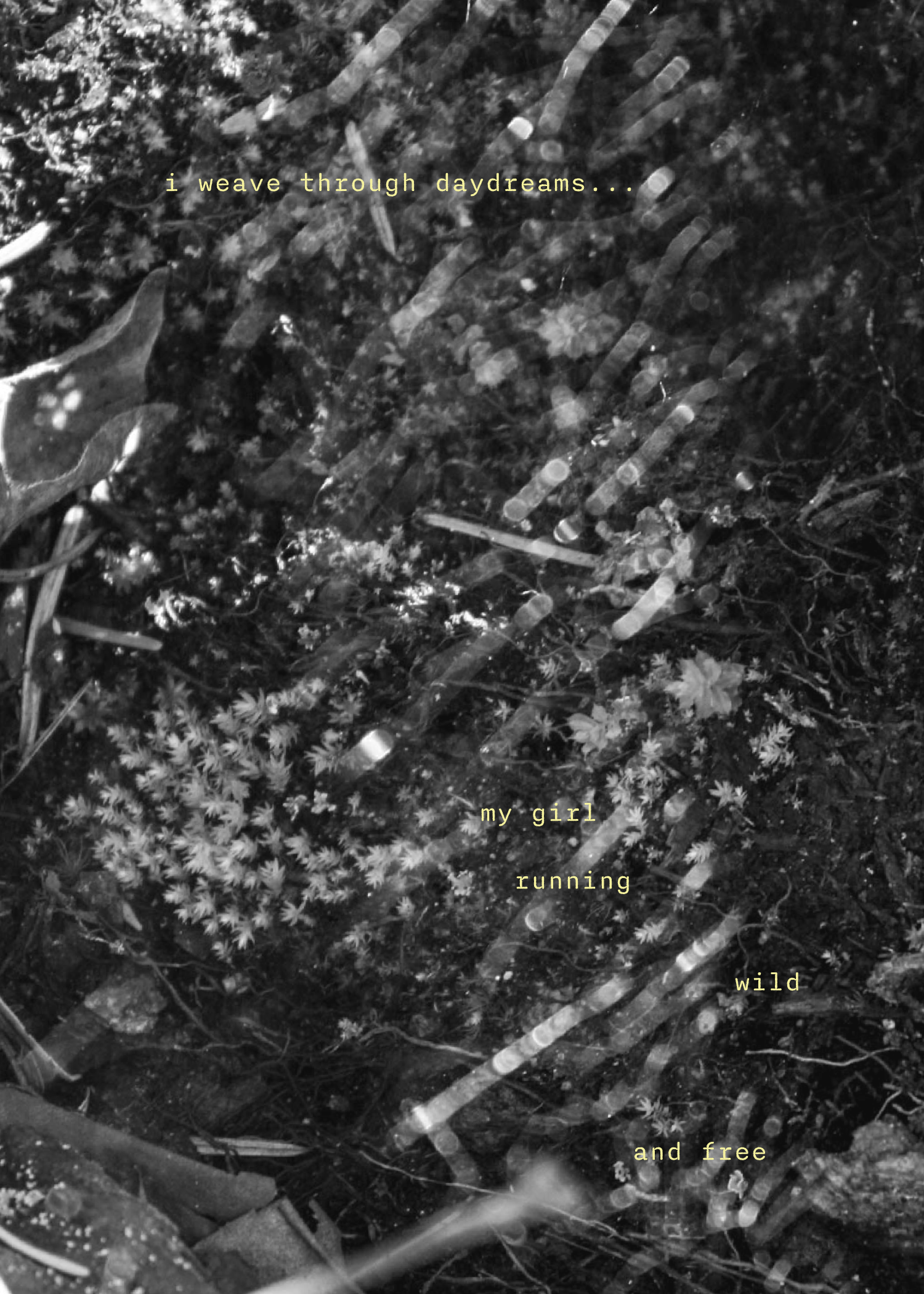 Zine - a love note to fairy ponds.png