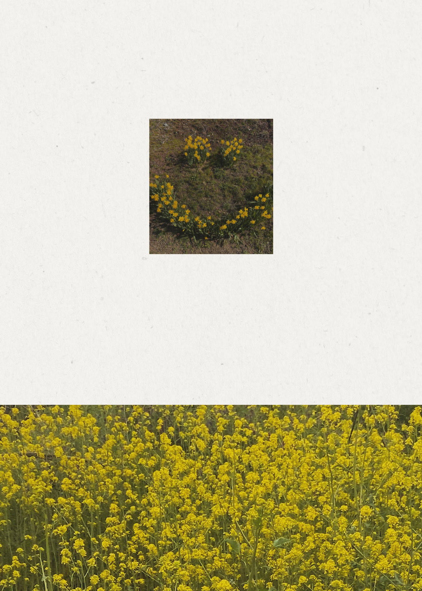 WAKING THE DORMANT - 5 LESSONS FROM SPRING