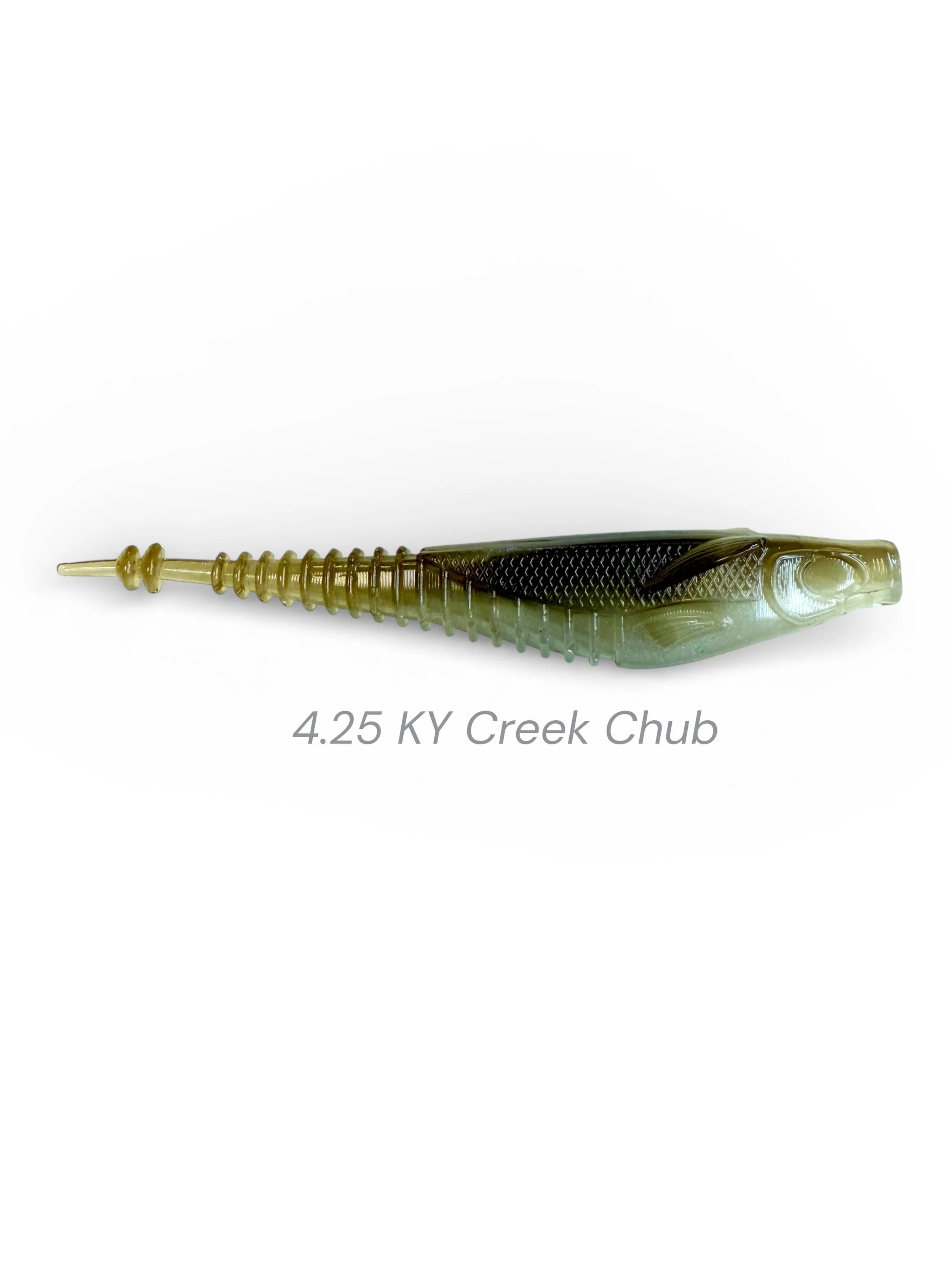 Kentucky Creek Chub