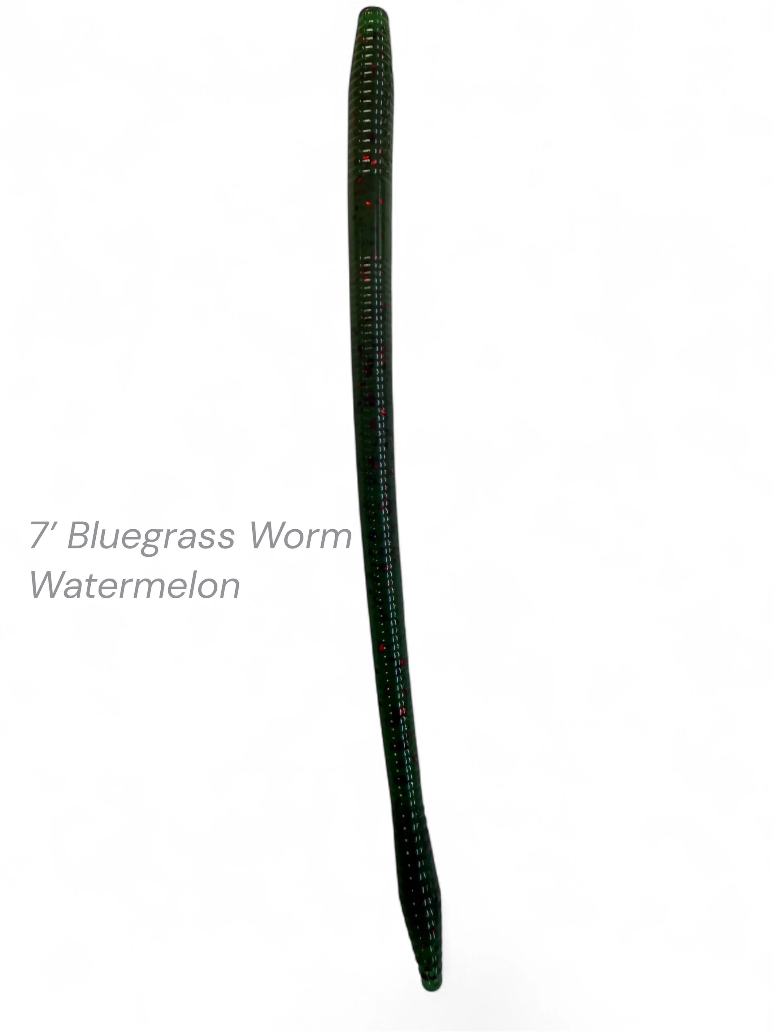 7' Bluegrass Worm