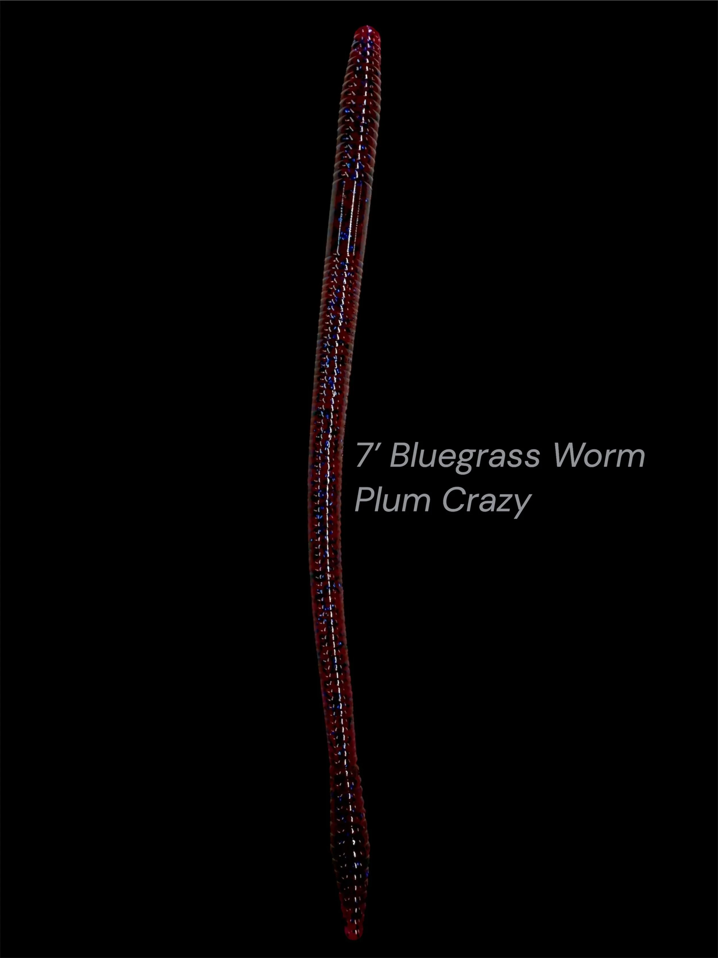 7' Bluegrass Plum Crazy.JPG