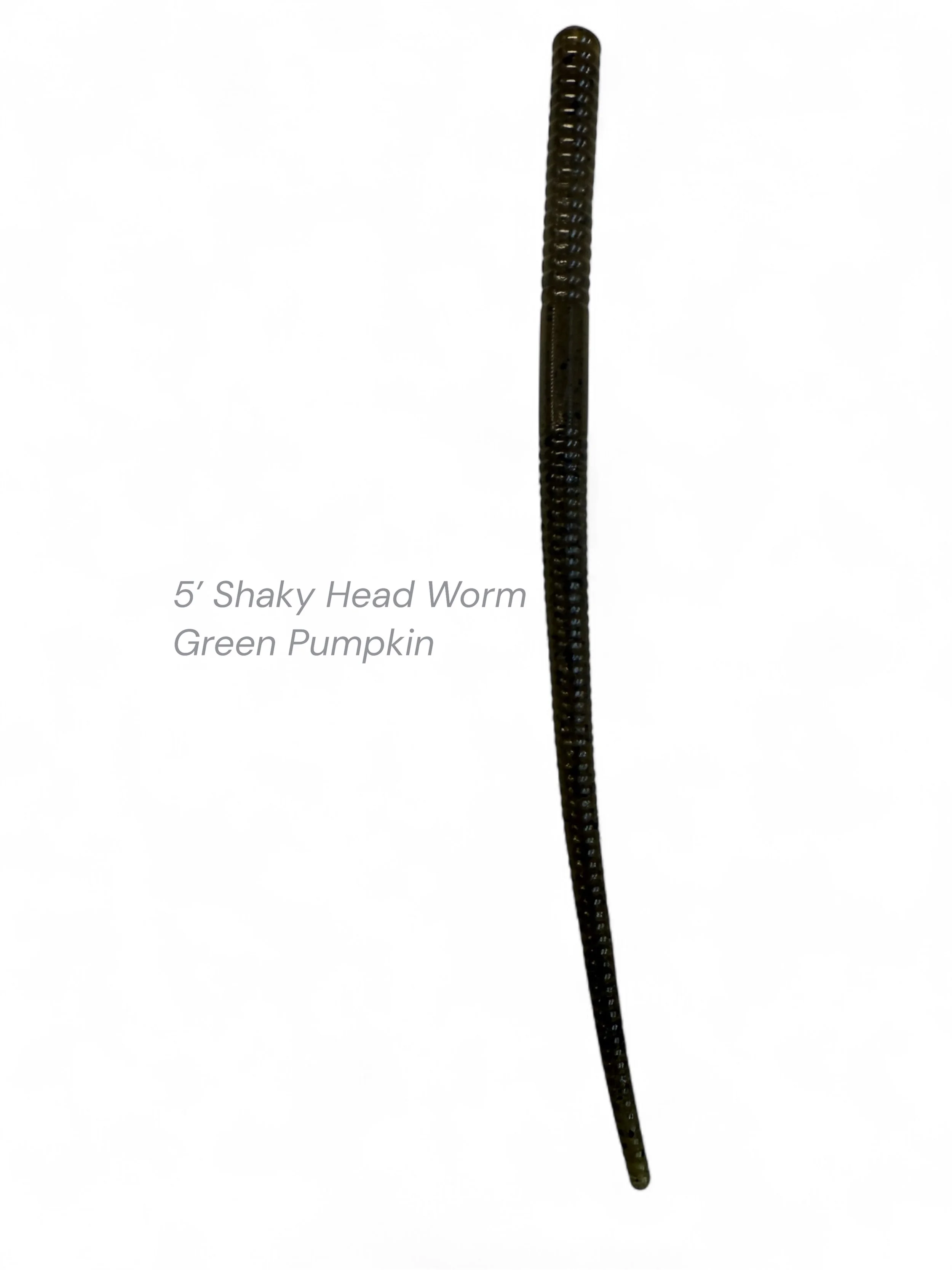 5' Shaky Worm