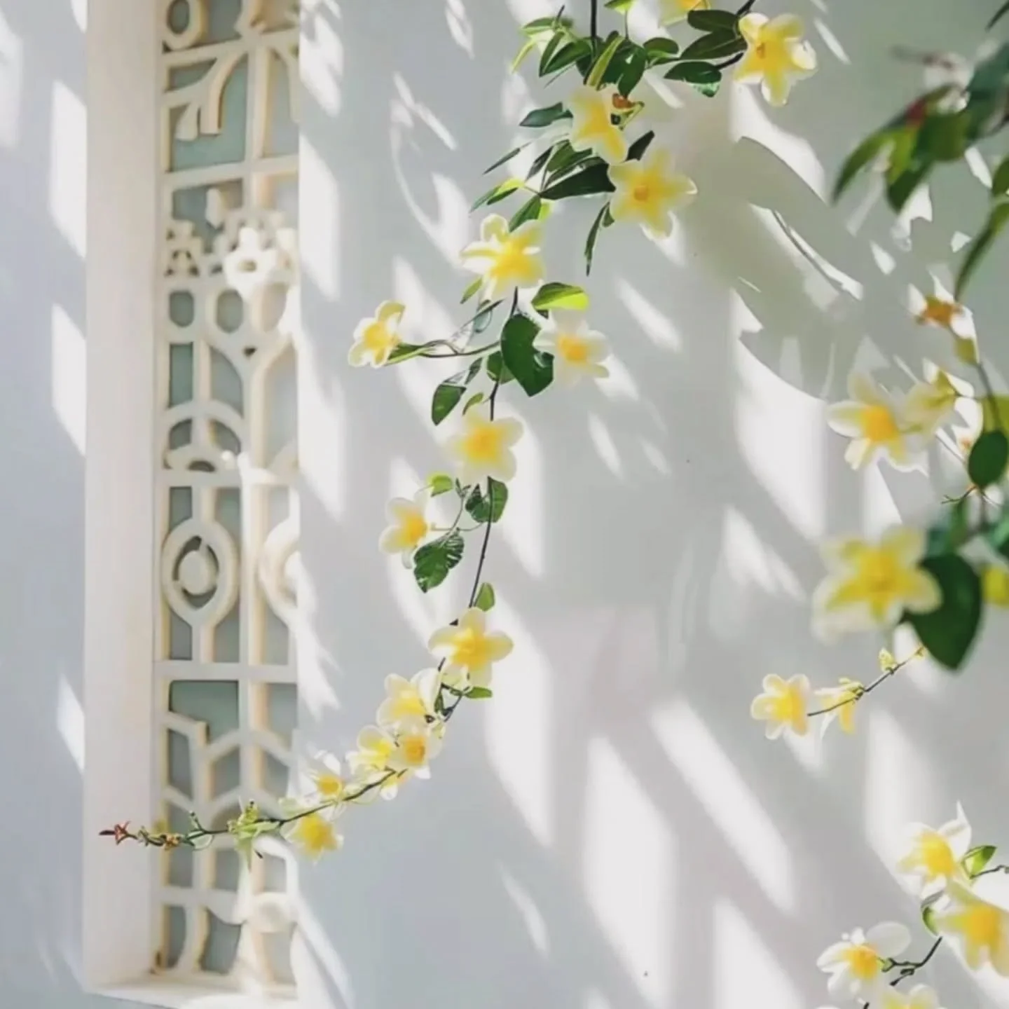 Yellow tones stimulate happiness and creativity, which is why yellow flowers feel so alive and uplifting in summer light. 🌼

#coloursofsummer #colourtherapy #colouredabayas #pastelabaya #pastelyellow #softcolours