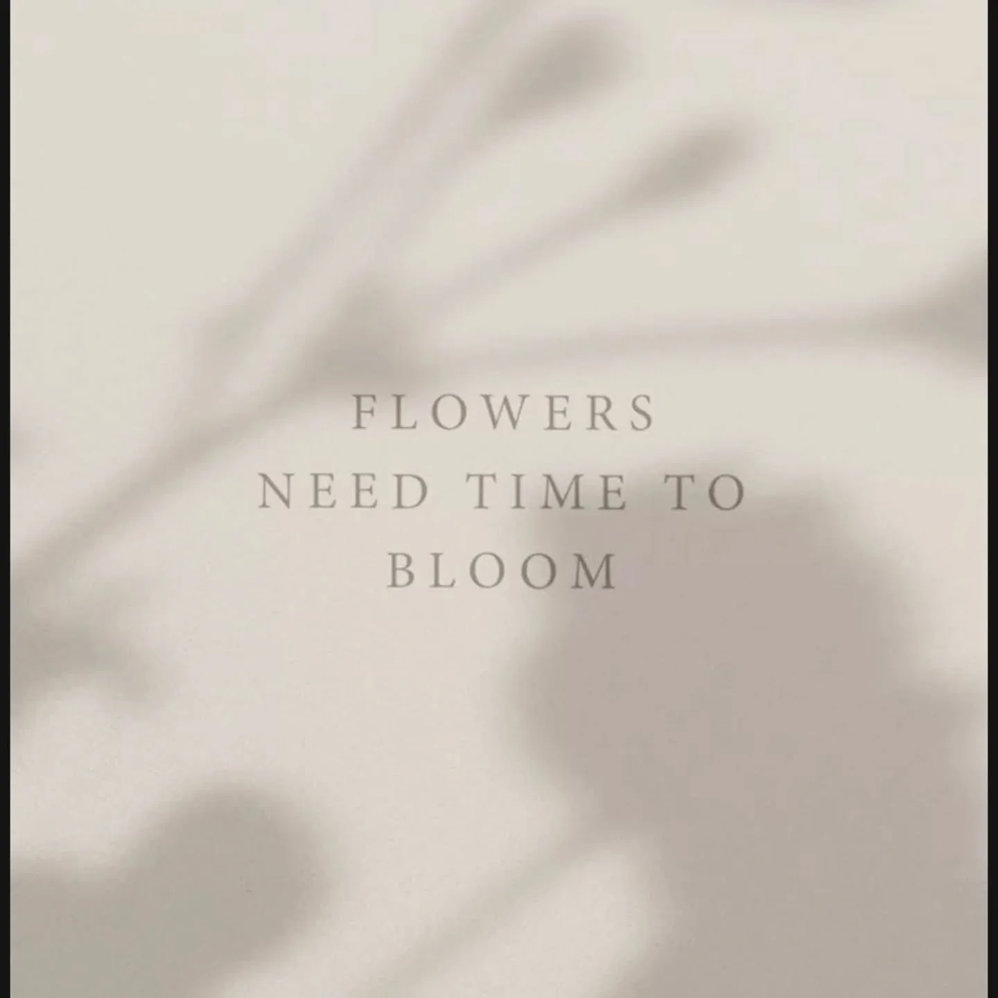 🌸 Flowers need time to bloom and so do we. There&rsquo;s beauty in slow growth, gentle days, and trusting that your season is coming. Summer reminds us that nothing blossoms overnight&hellip; but when it does, it&rsquo;s worth every moment of patien