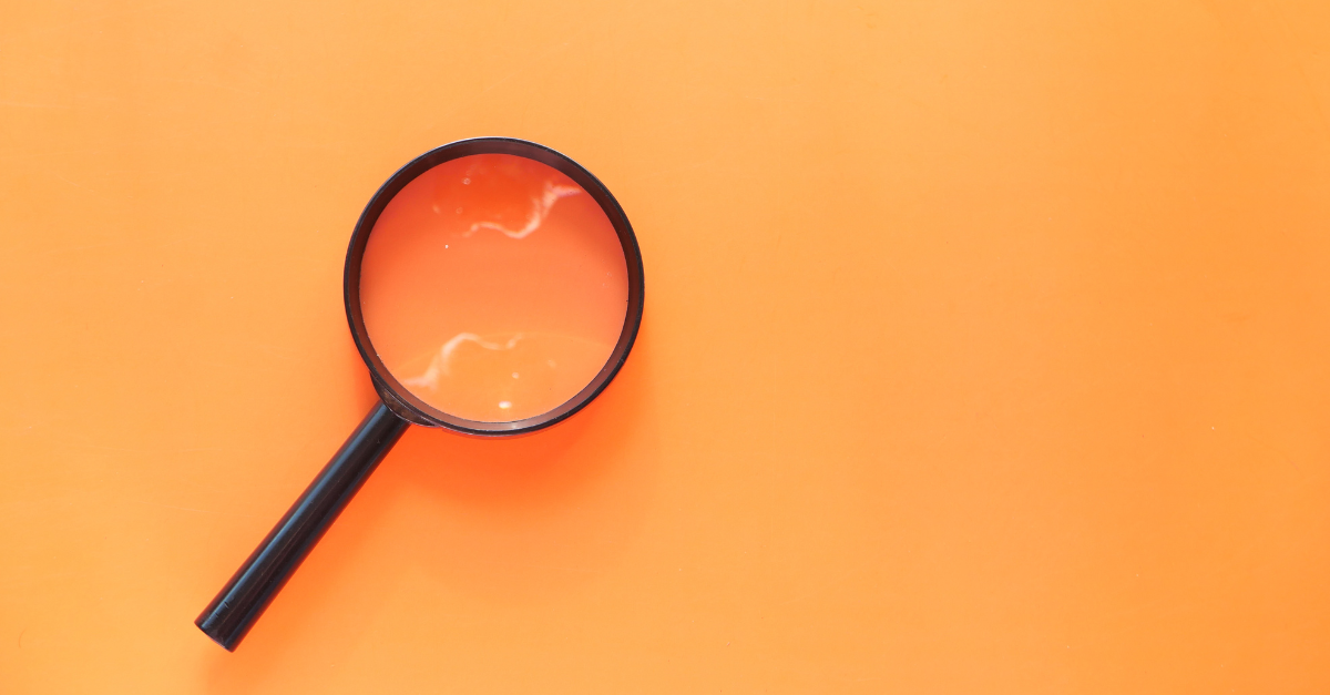 Optimising Your Physical Assets for Success