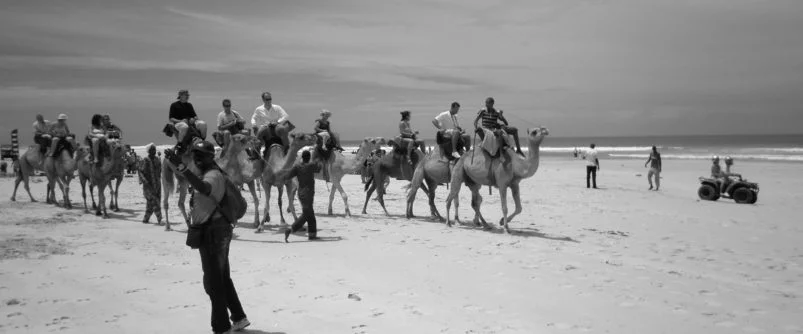 Impact Croissance Seminaire.com