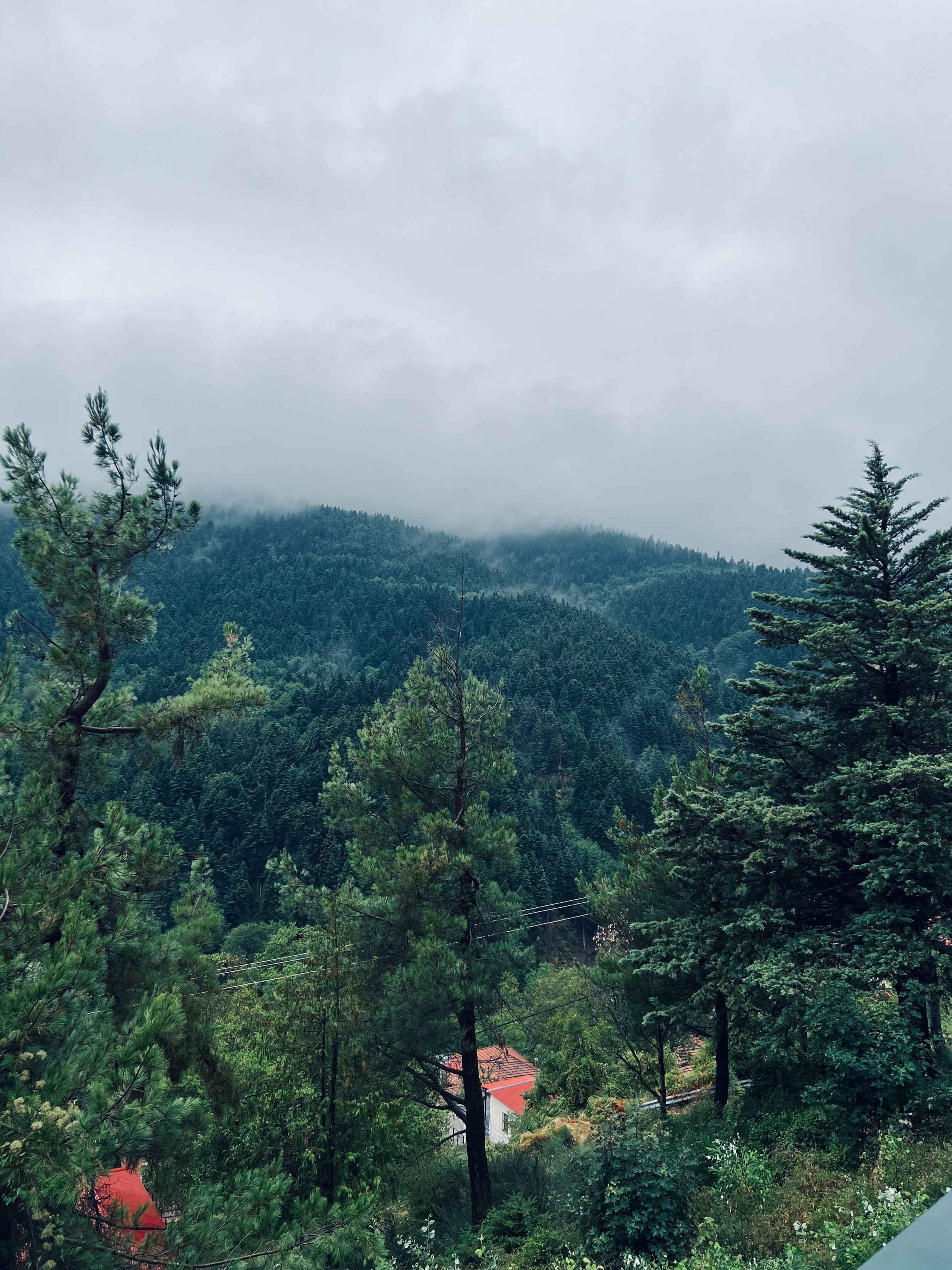 Ορεινό τοπίο με ομίχλη και πυκνό πράσινο δάσος κοντά στη Λίμνη Πλαστήρα. Ανάμεσα στα δέντρα φαίνονται στέγες σπιτιών της Καρδίτσας — εικόνα της γαλήνιας φύσης της Θεσσαλίας.