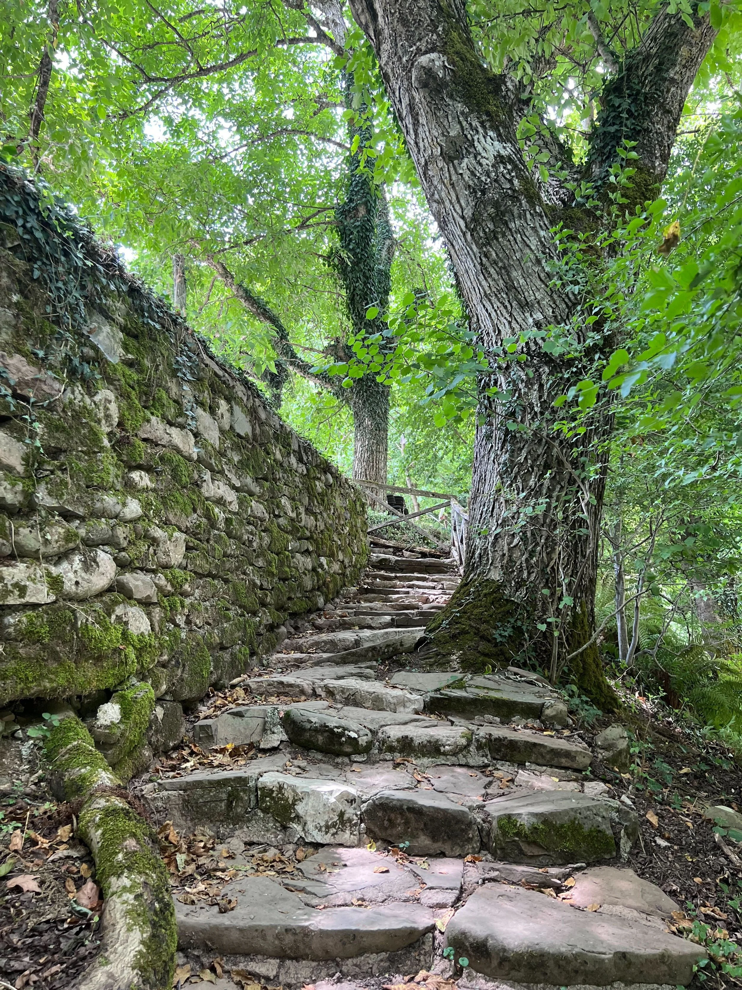 Πέτρινο μονοπάτι με ανηφορικά σκαλοπάτια μέσα σε καταπράσινο δάσος κοντά στη Λίμνη Πλαστήρα. Η πέτρα, τα βρύα και ο ήλιος που διαπερνά τα φύλλα δημιουργούν ατμόσφαιρα ηρεμίας και επαφής με τη φύση.