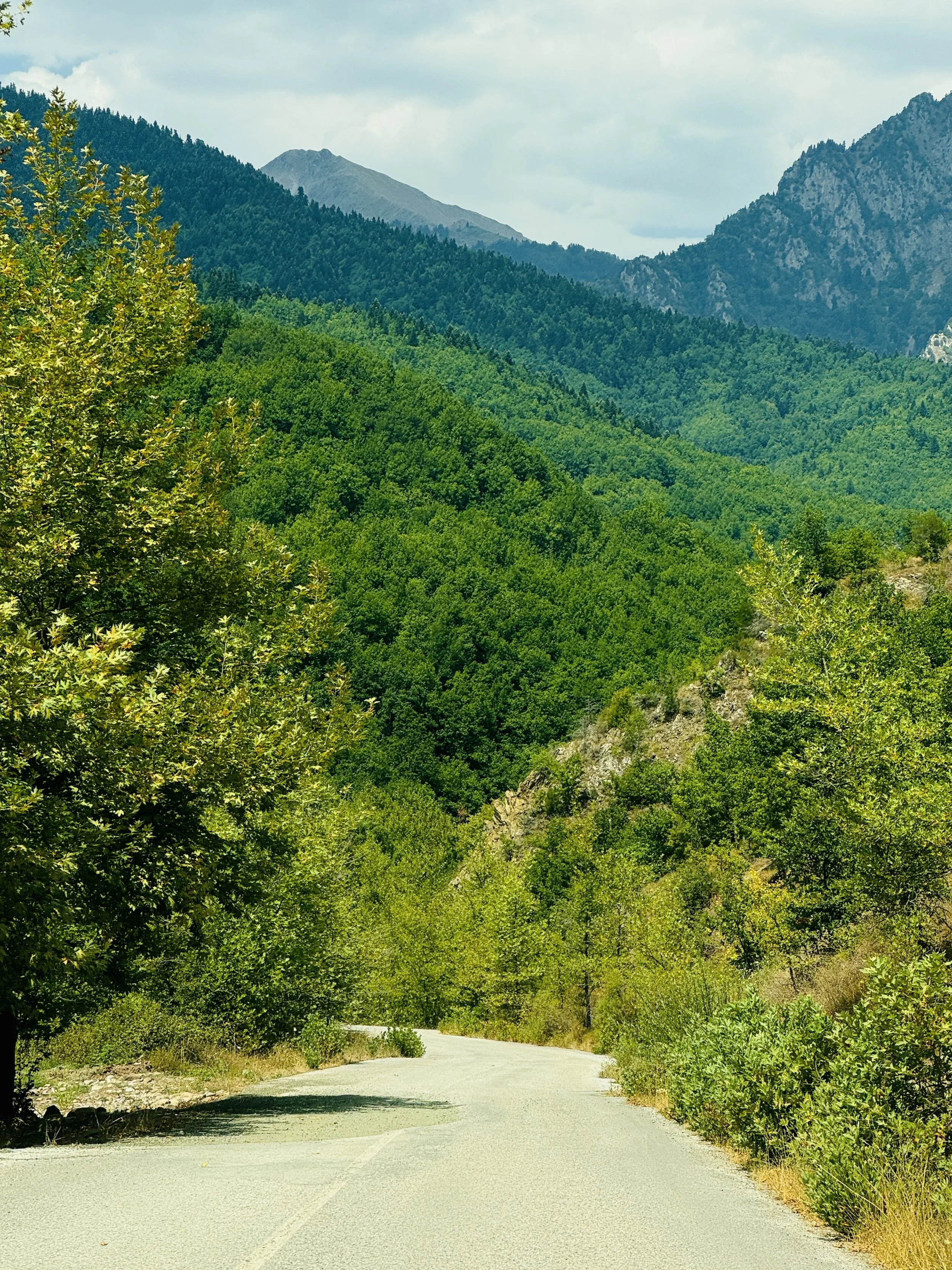 Ορεινό τοπίο με καταπράσινα δέντρα και δρόμο που διασχίζει τα βουνά της Καρδίτσας κοντά στη Λίμνη Πλαστήρα. Εικόνα της αυθεντικής θεσσαλικής φύσης.