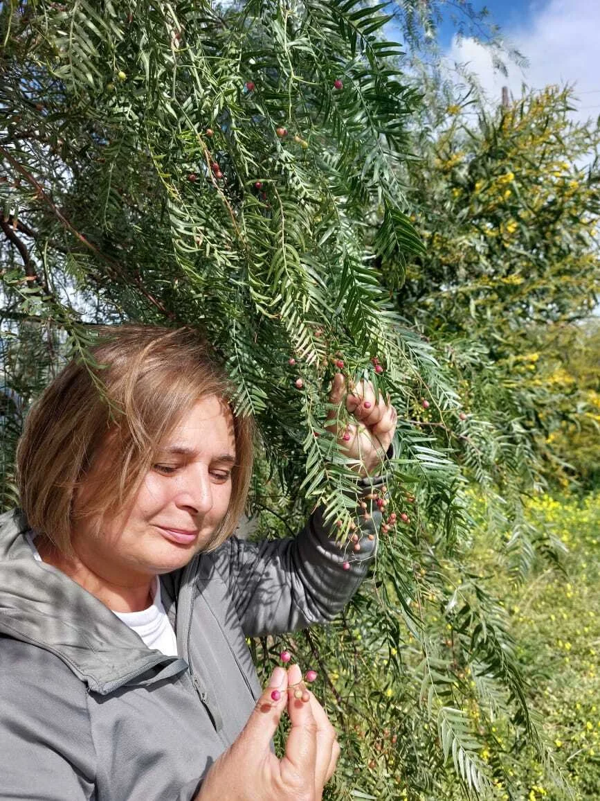 Εικόνα από τη φύση γύρω από τη Λίμνη Πλαστήρα, στο Φαγοτόπι.