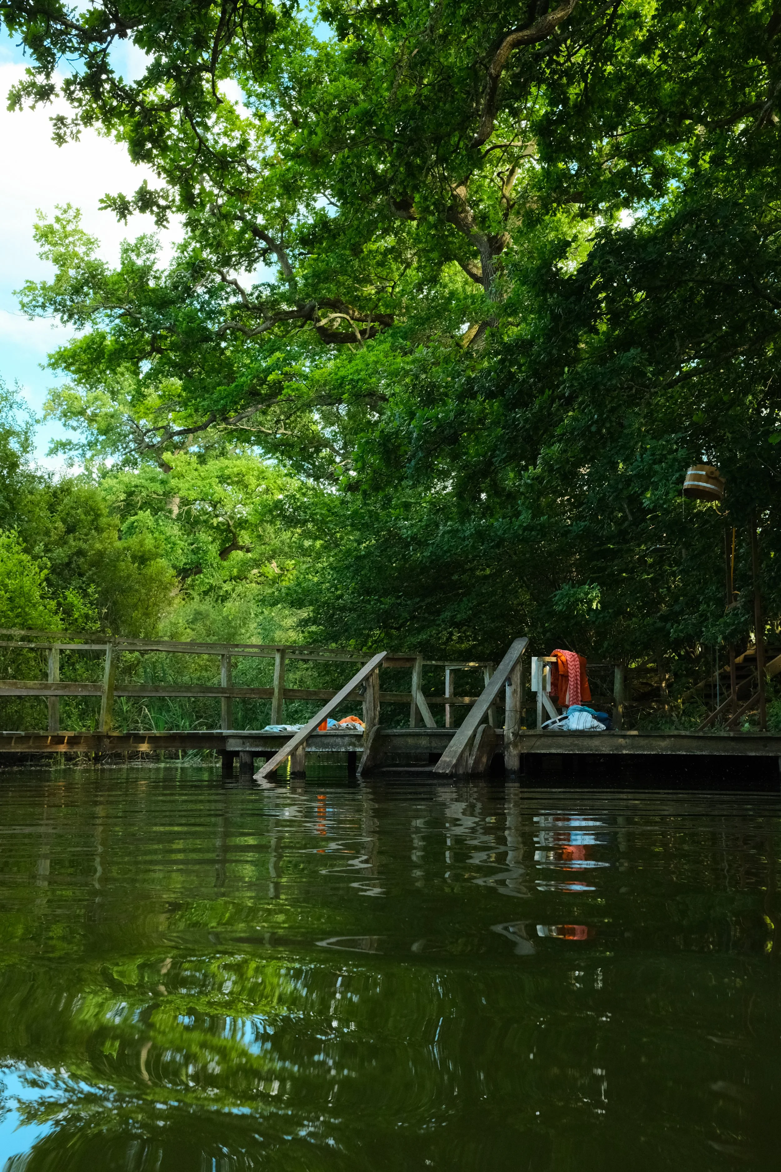 Wild swimming spot at Knepp Rewilding estate campsite
