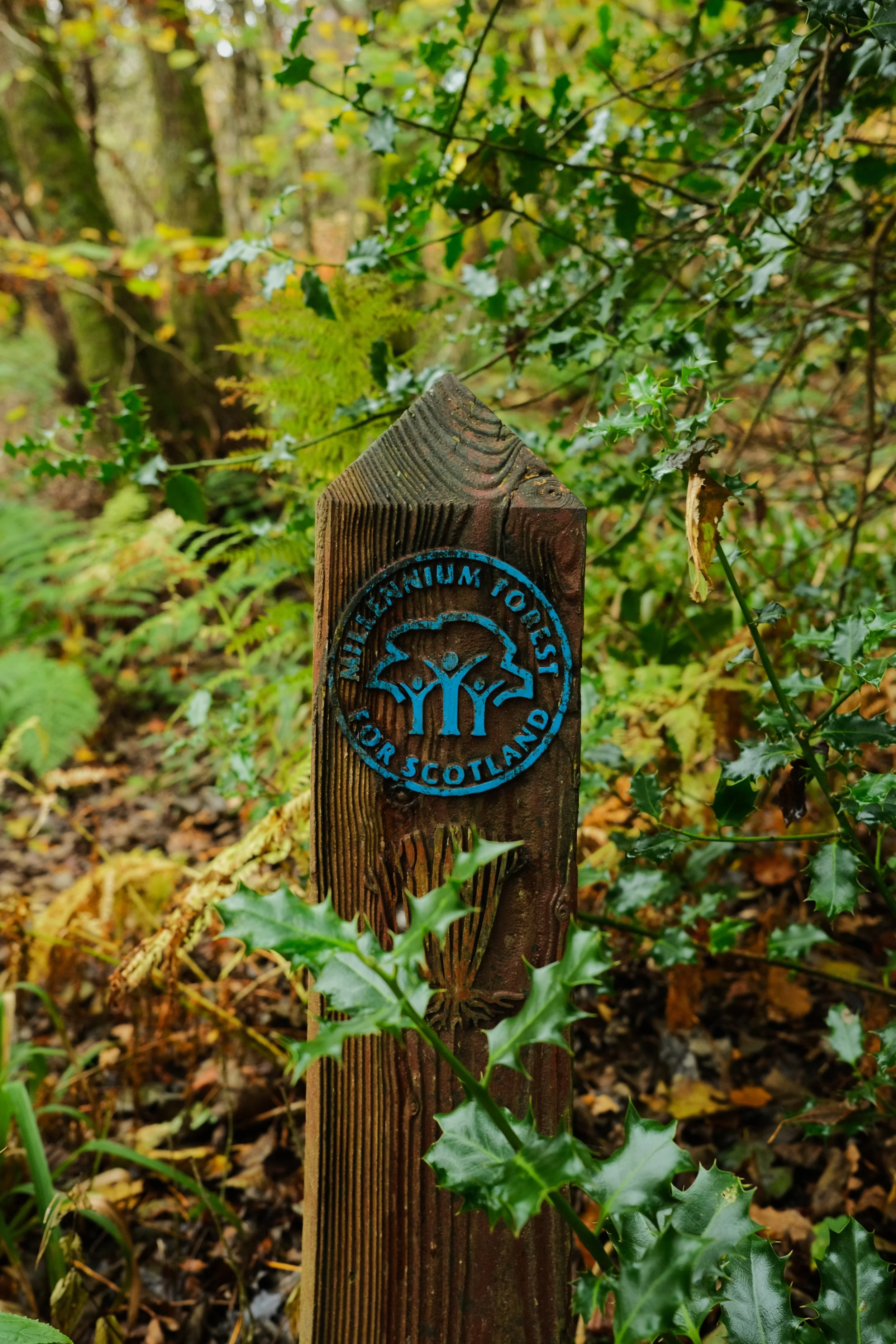 Scottish walking path sign surrounded by plants during autumn