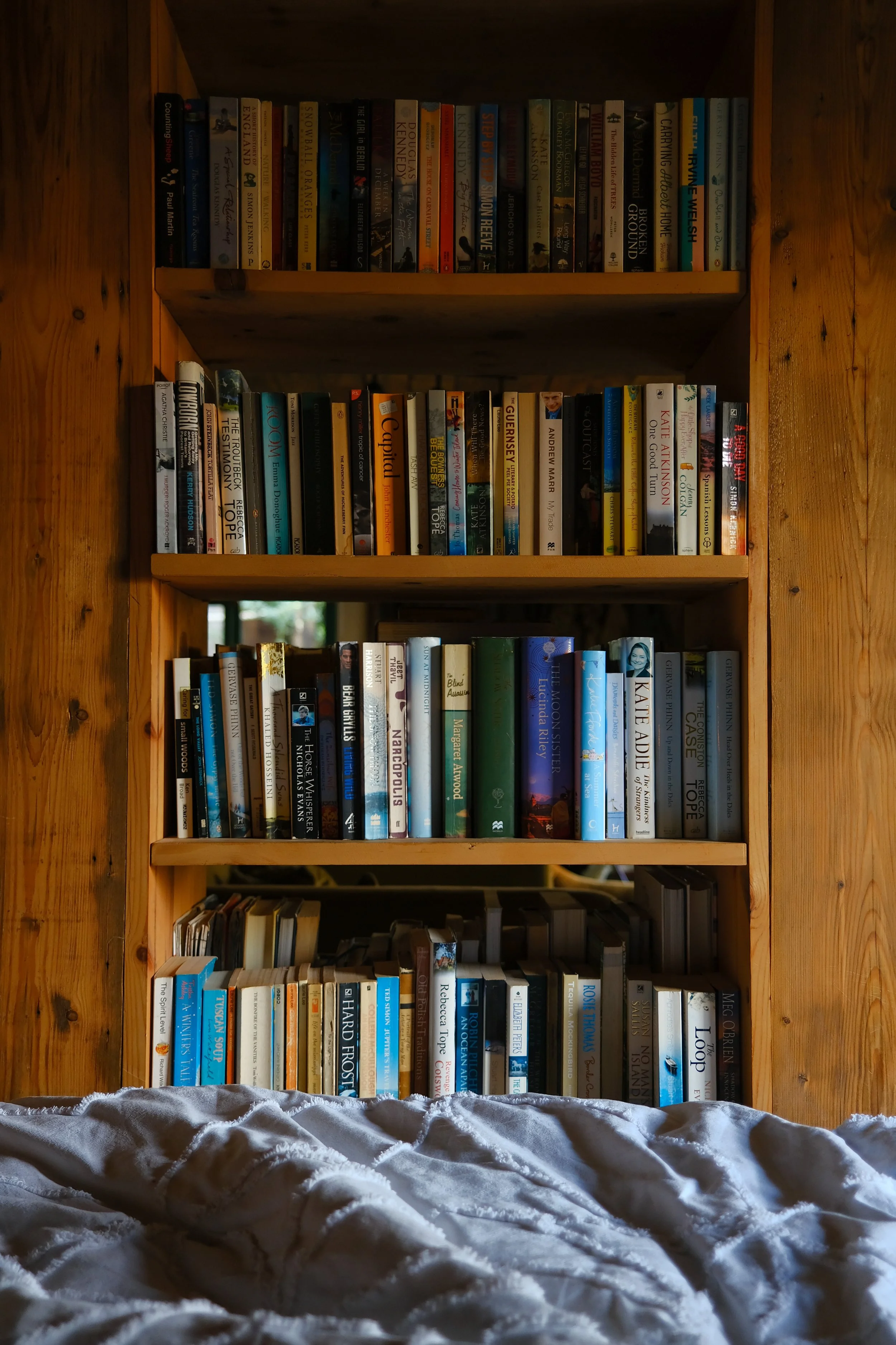 Cabin bookshelf in Wales