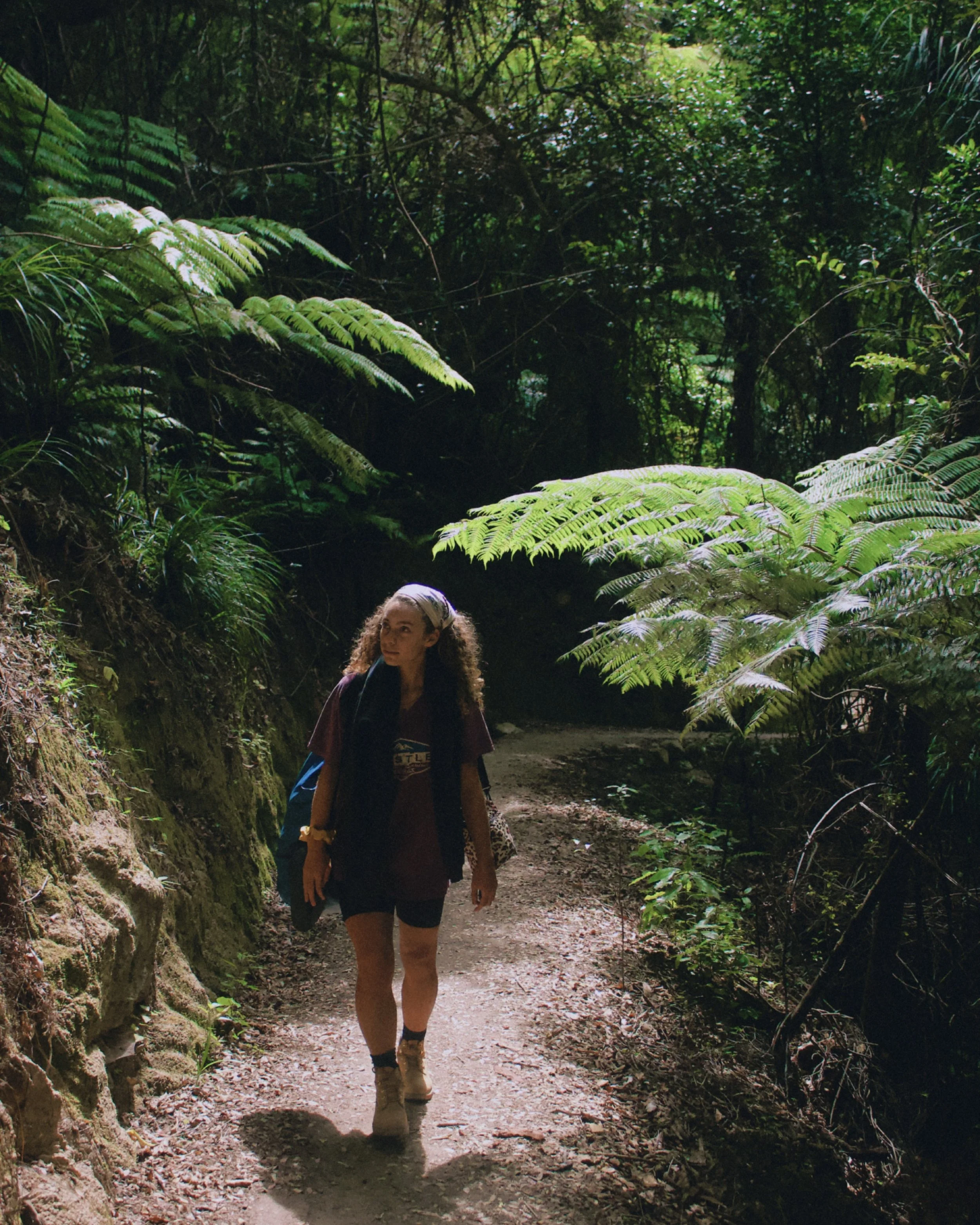 A girl with curly hair on a walk with her backpack, looking up at huge tree ferns in New Zealand 