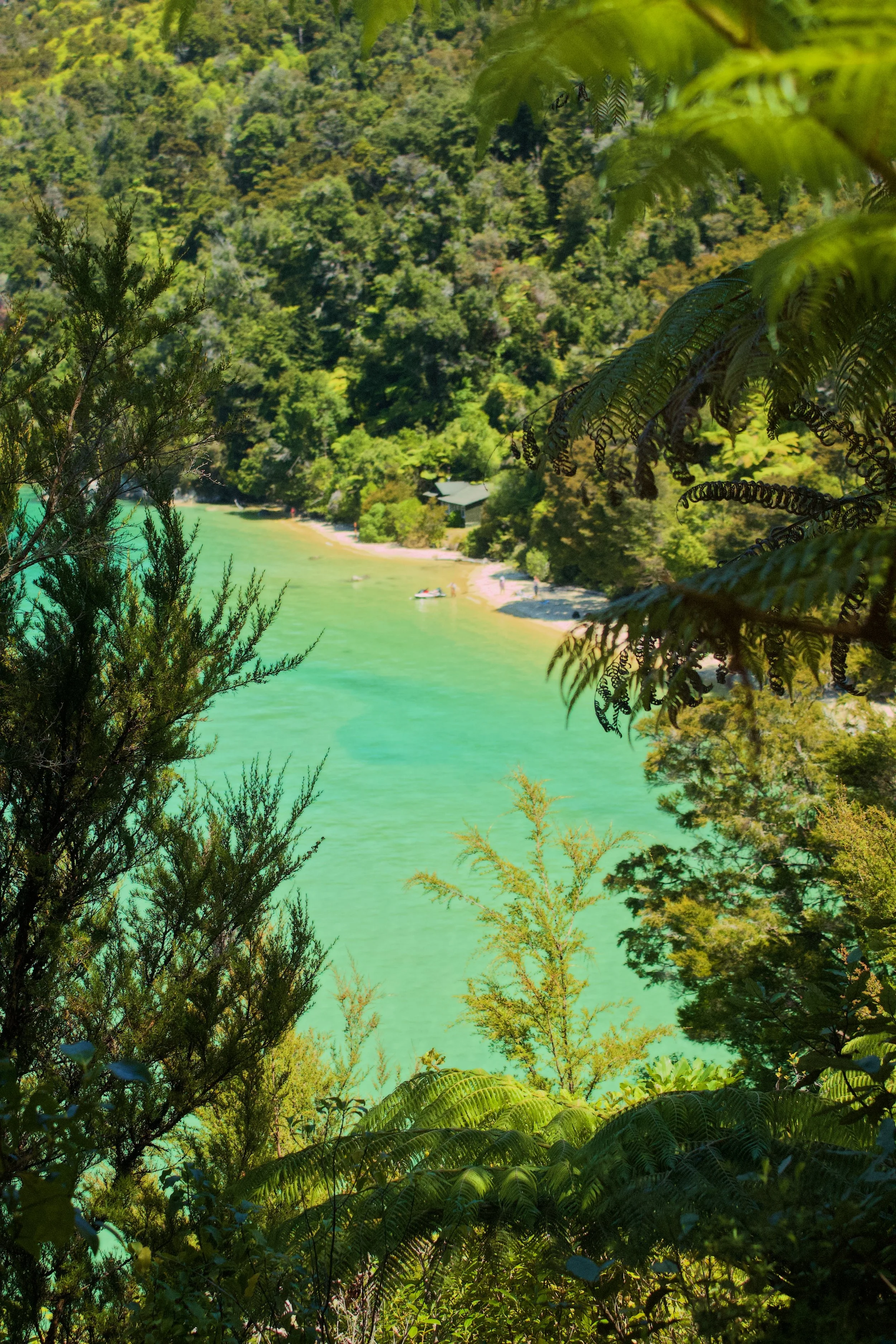 Abel Tasman coastal track New Zealand beach