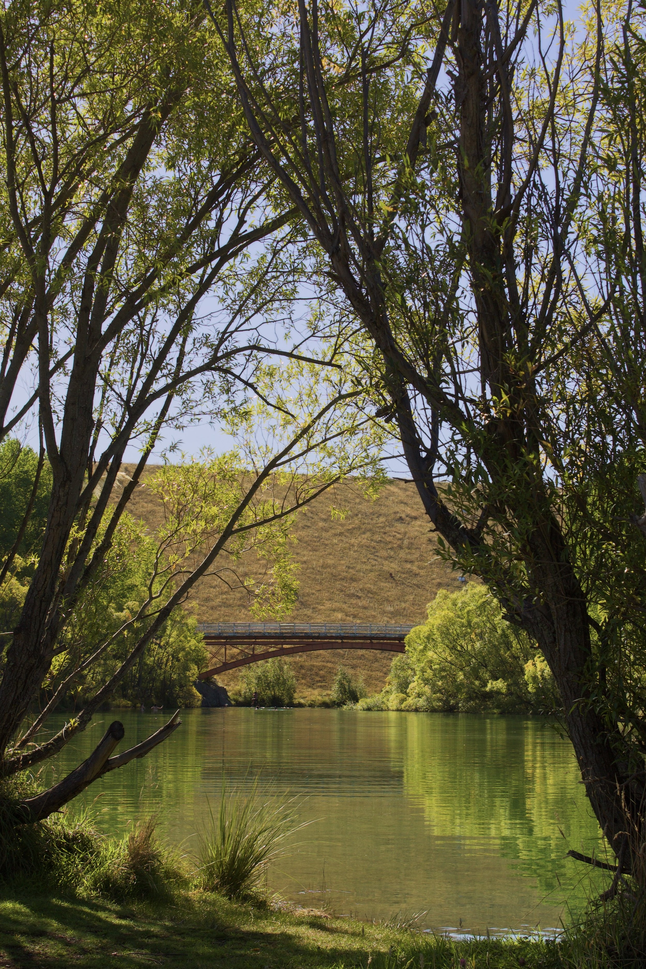 An old iron bridge in New Zealand with still green water
