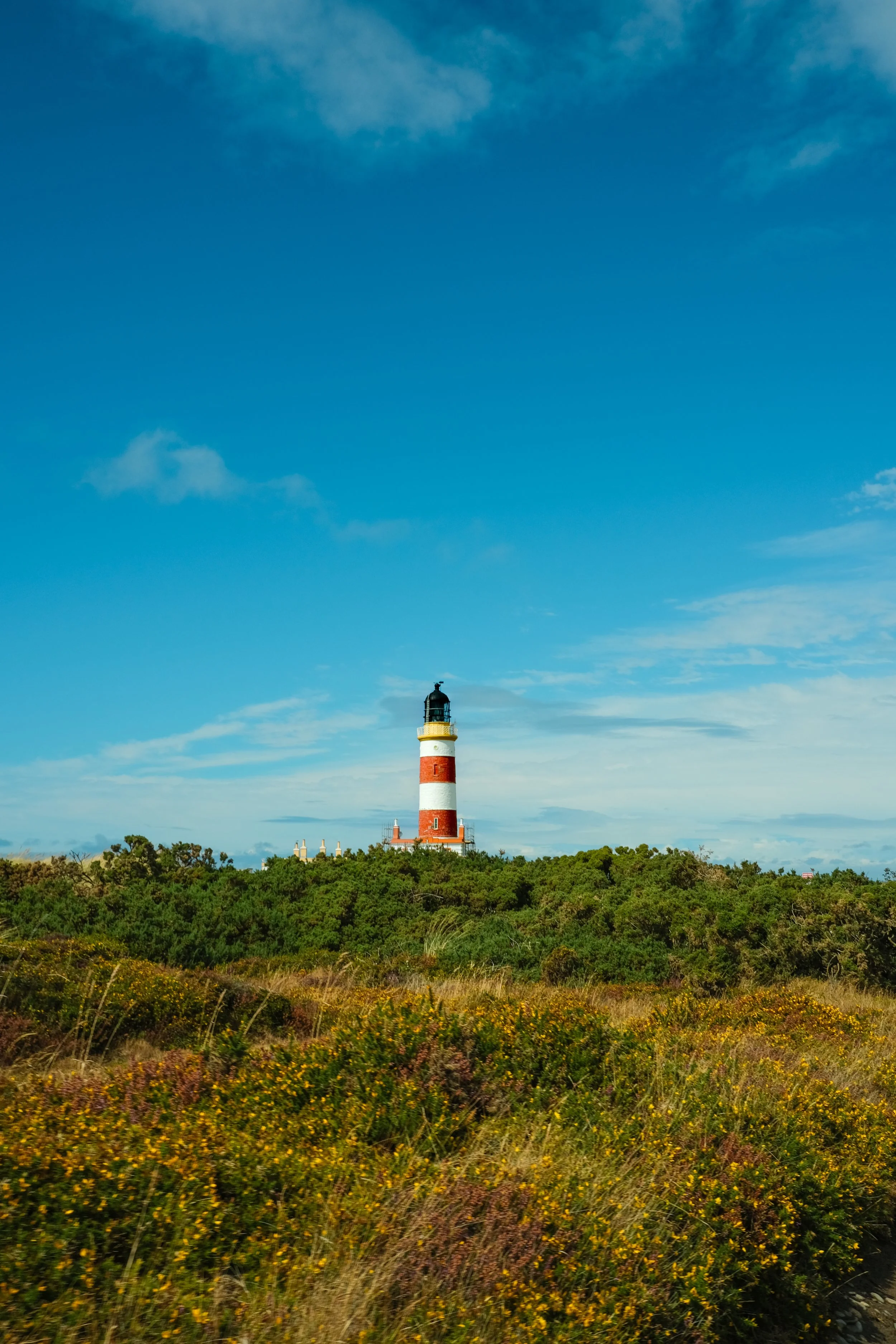 A lighthouse on the isle of man under a blue sky with colourful wild flowers
