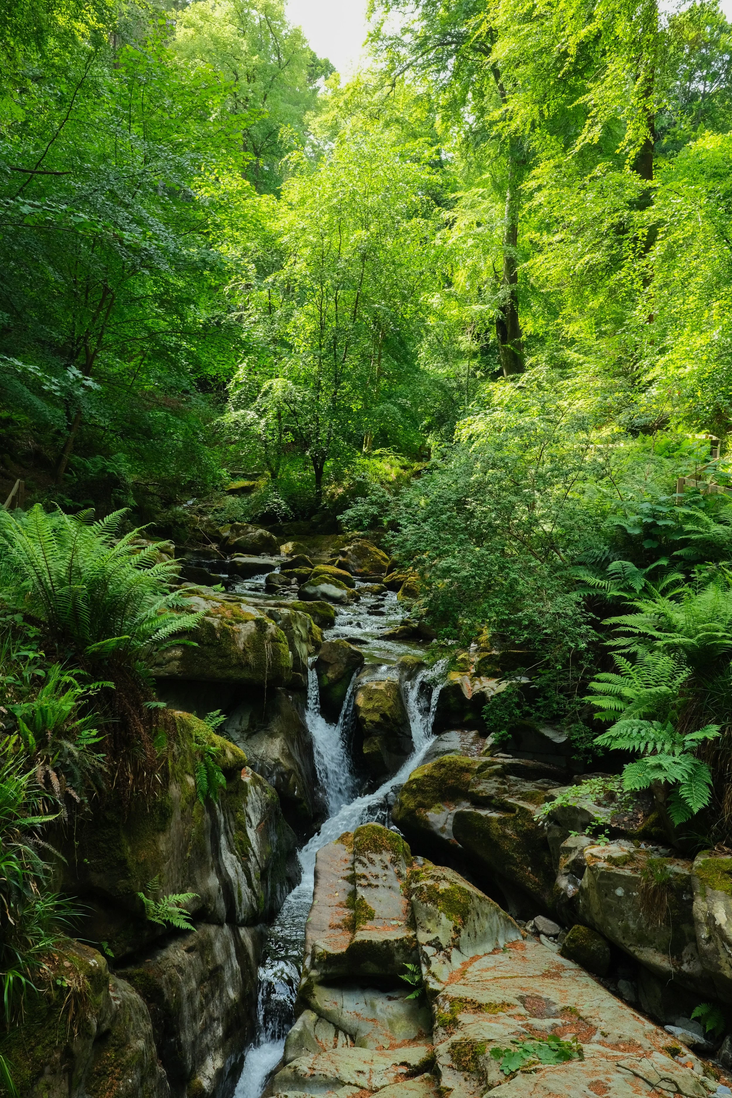 A waterfall in Ballaglass glen in Isle of Man in the sun