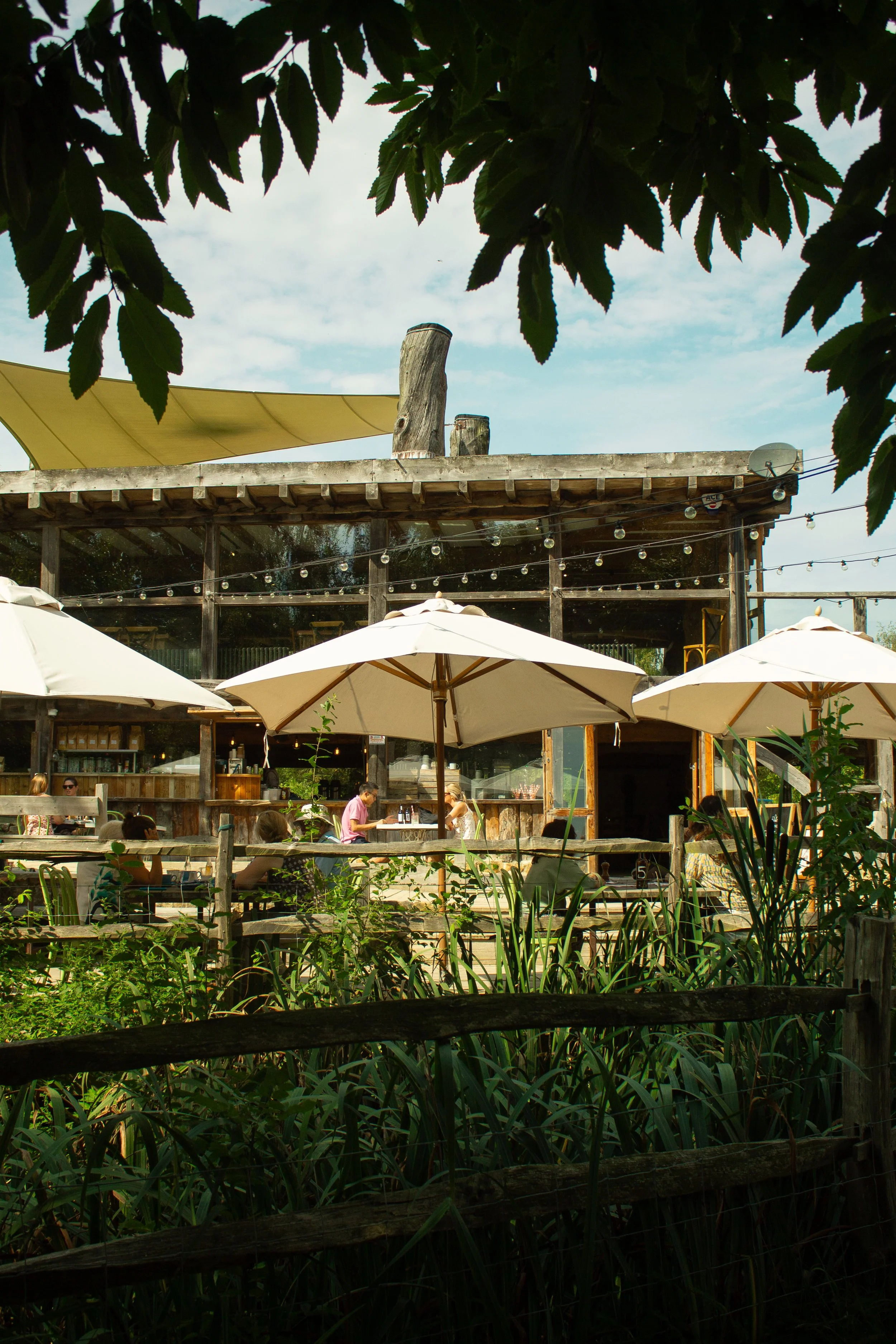 The outdoor seating area at kingdom pens hurt Kent cage