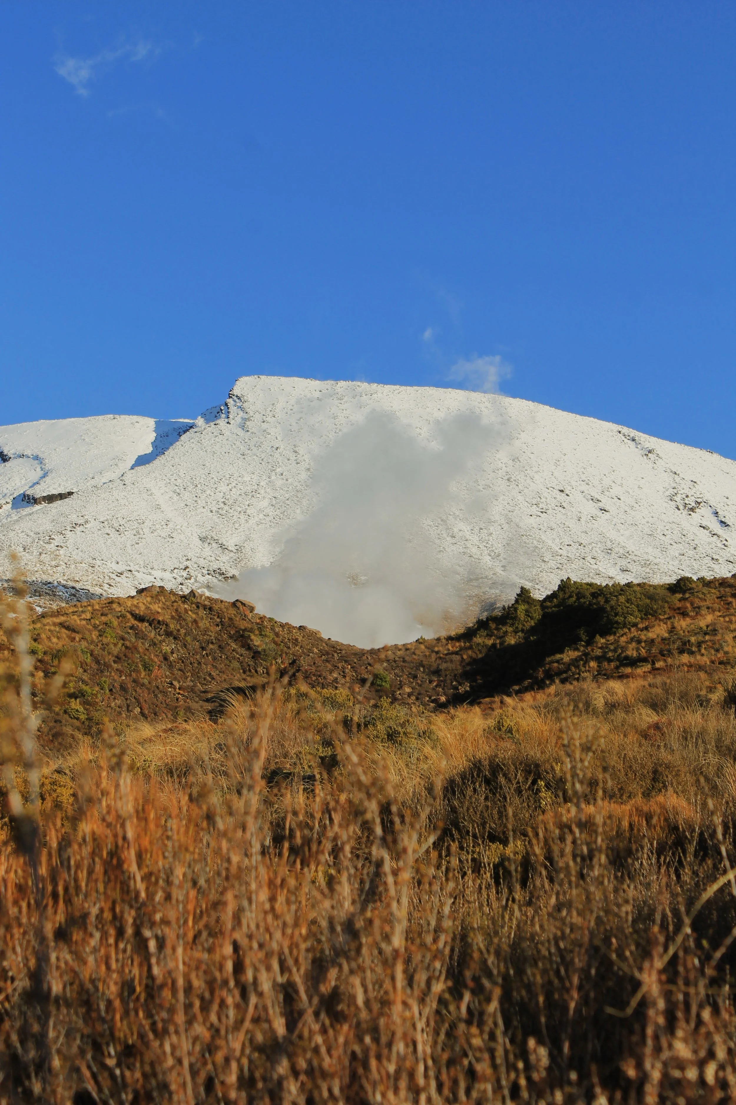 A snow capped volcanic mountain Tongariro Crossing in New Zealand 