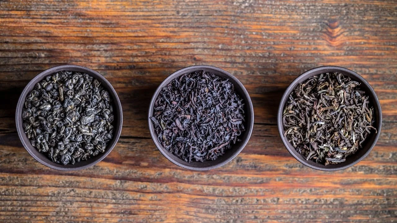 Untitled design(10).jpg