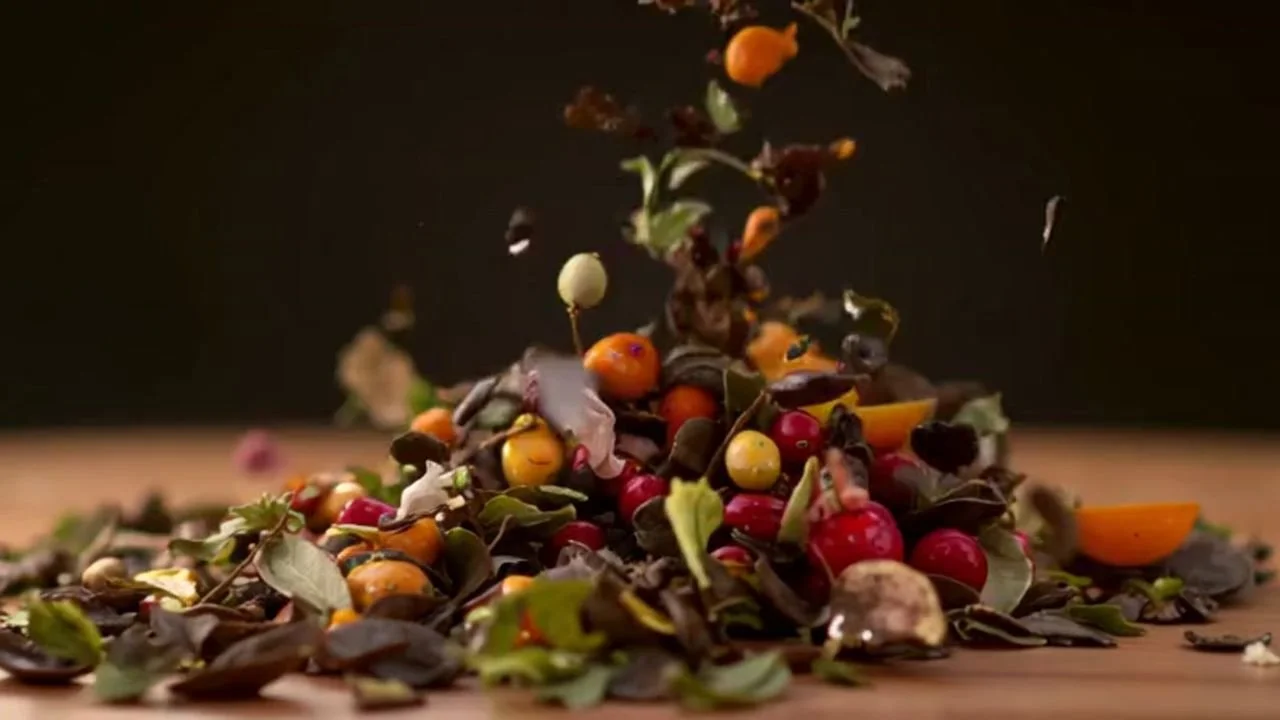 Untitled design(8).jpg