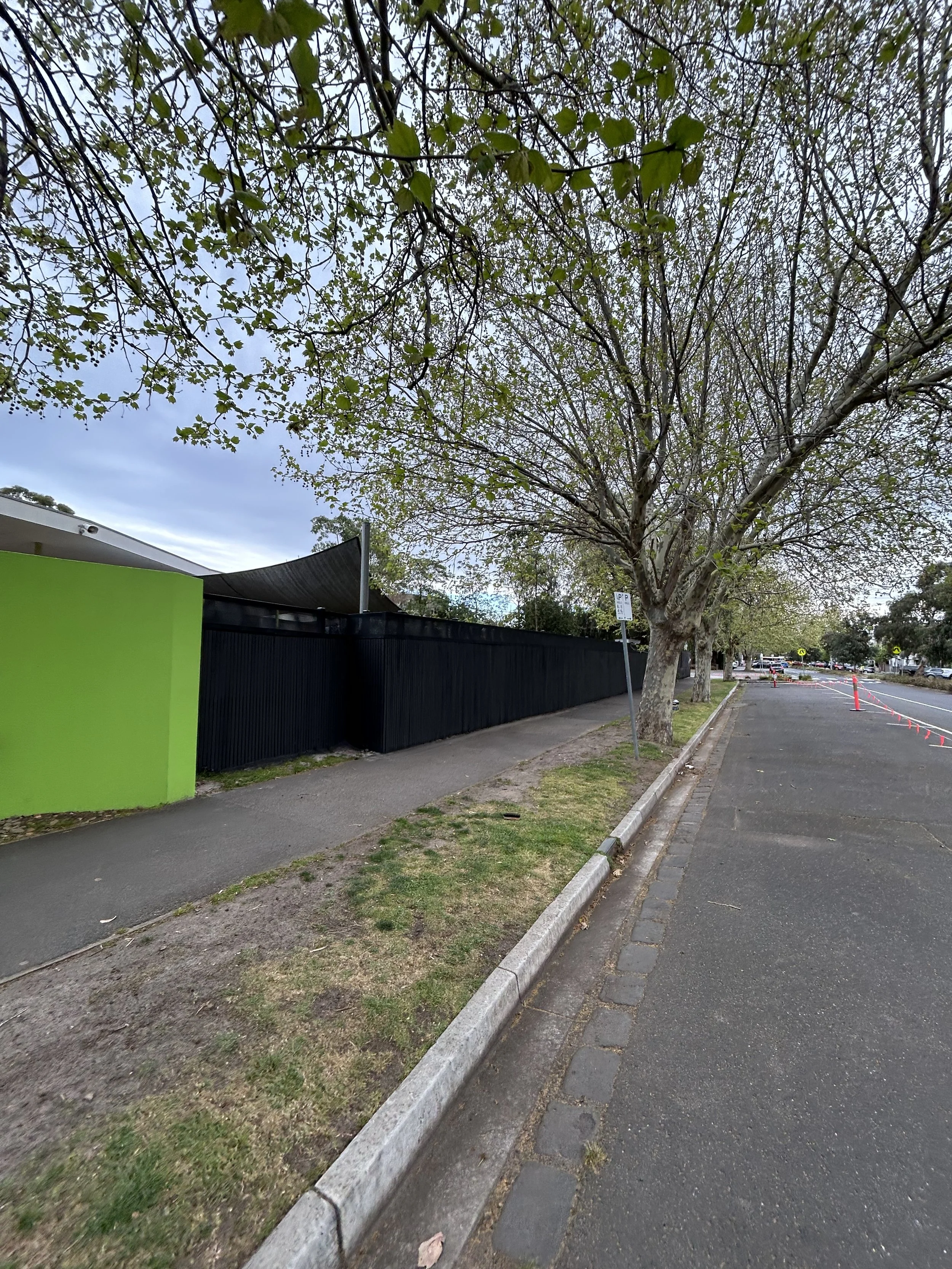A sidewalk and street running alongside a black fence and a tree with green and some budding leaves, with an overcast sky in the background.