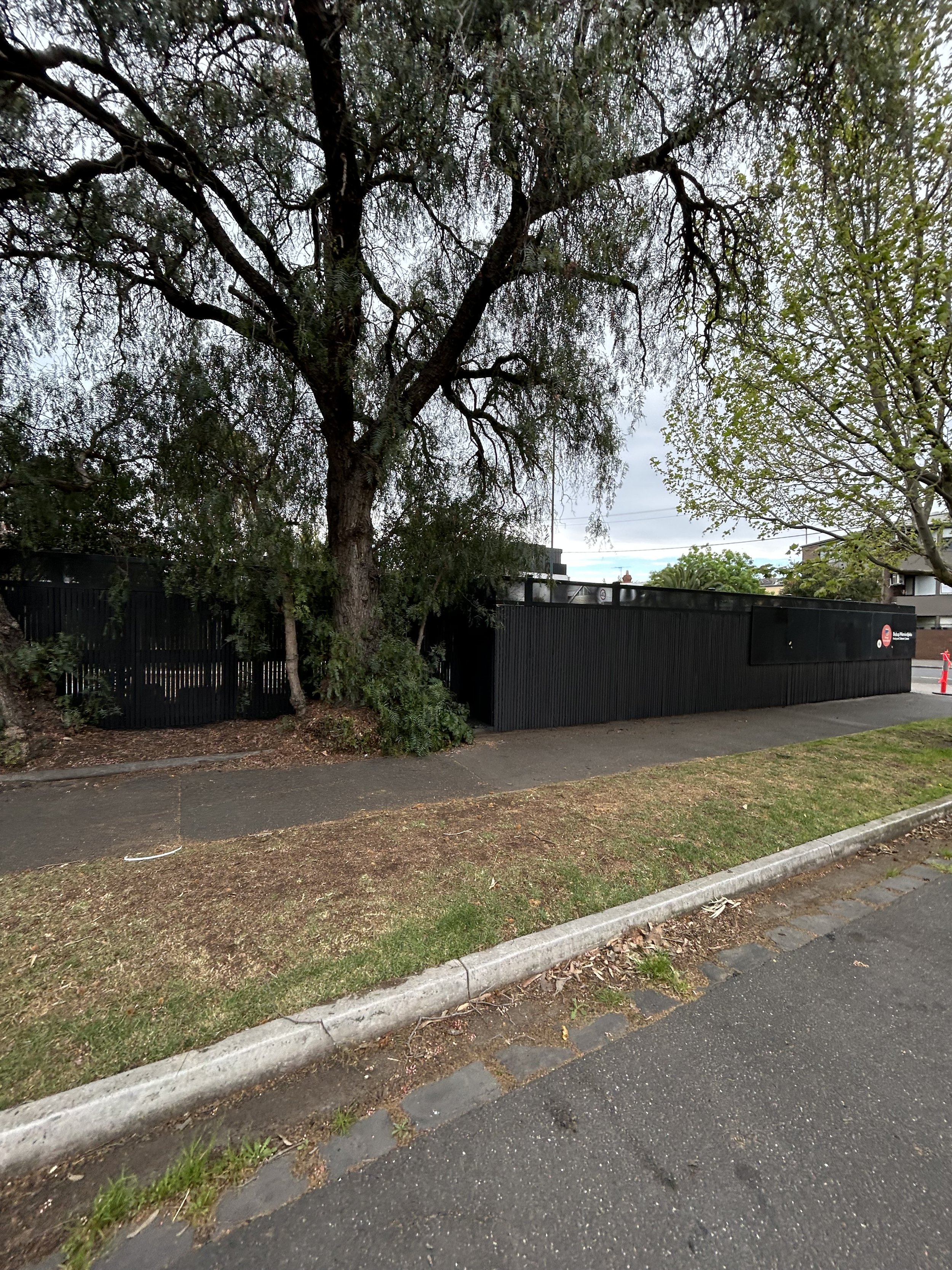 Street sidewalk with a large tree and a black fence in the background.