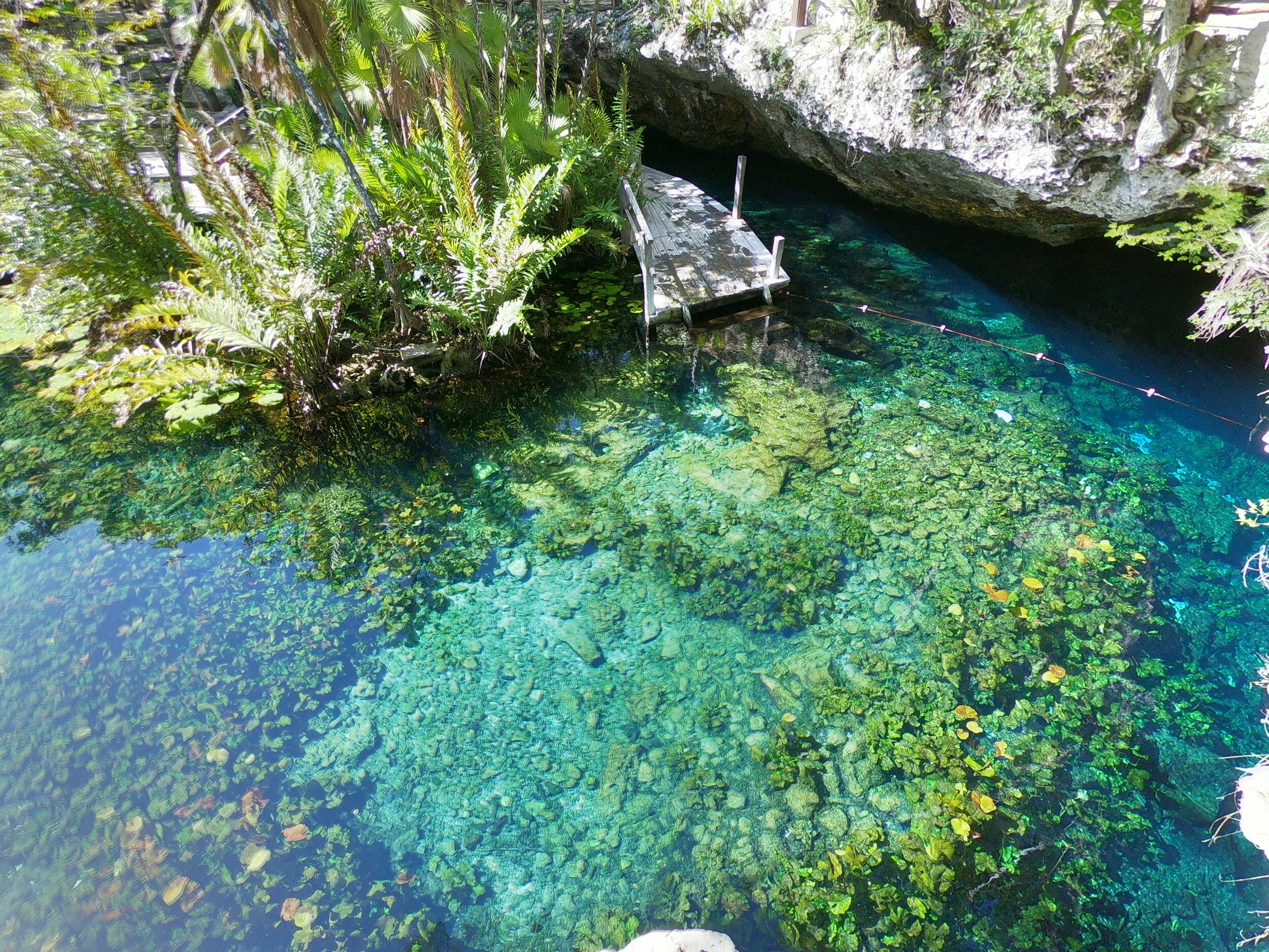 GPTempDownload 12.JPG