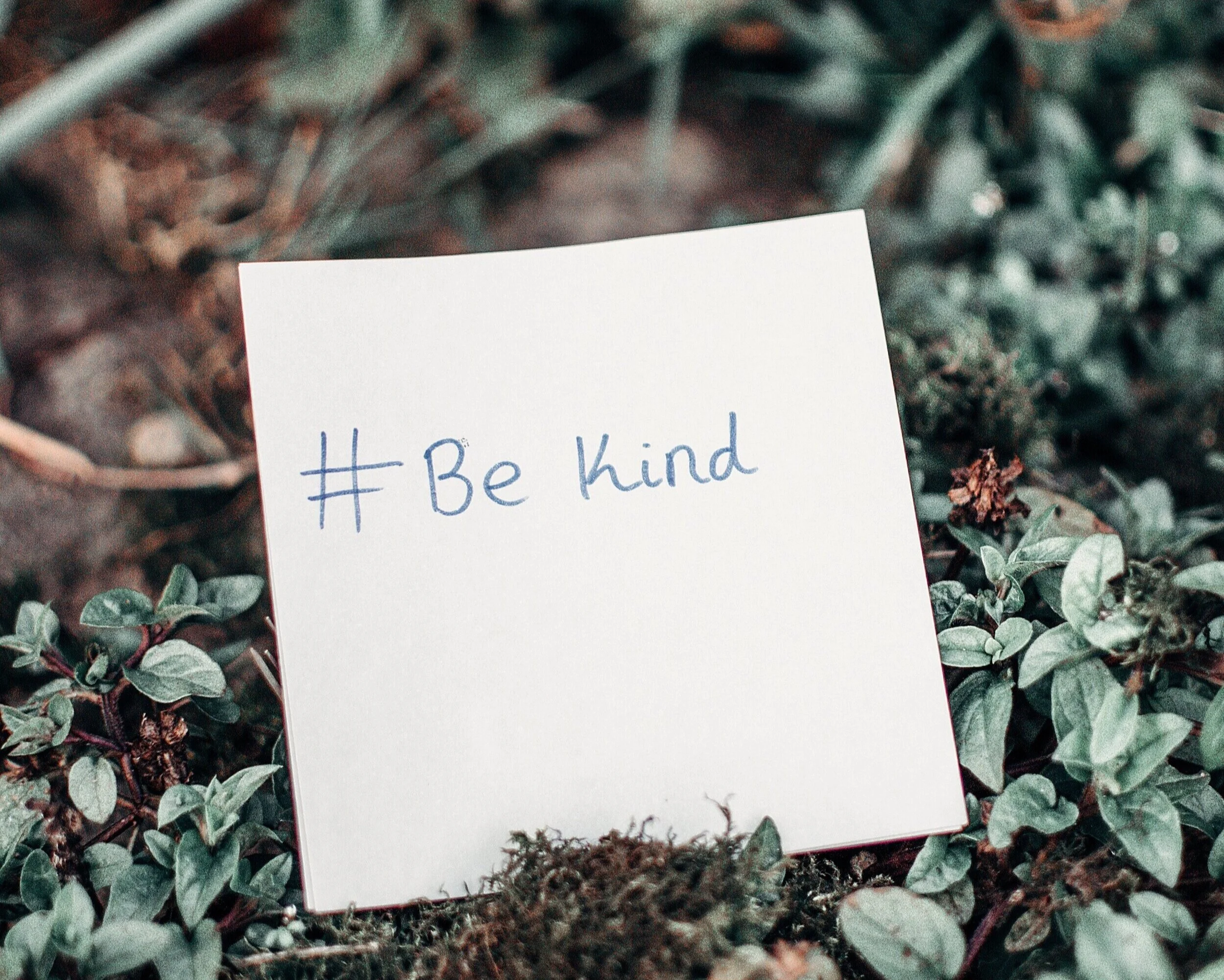 white-printer-paper-with-be-kind-text-on-plants-3972441.jpg