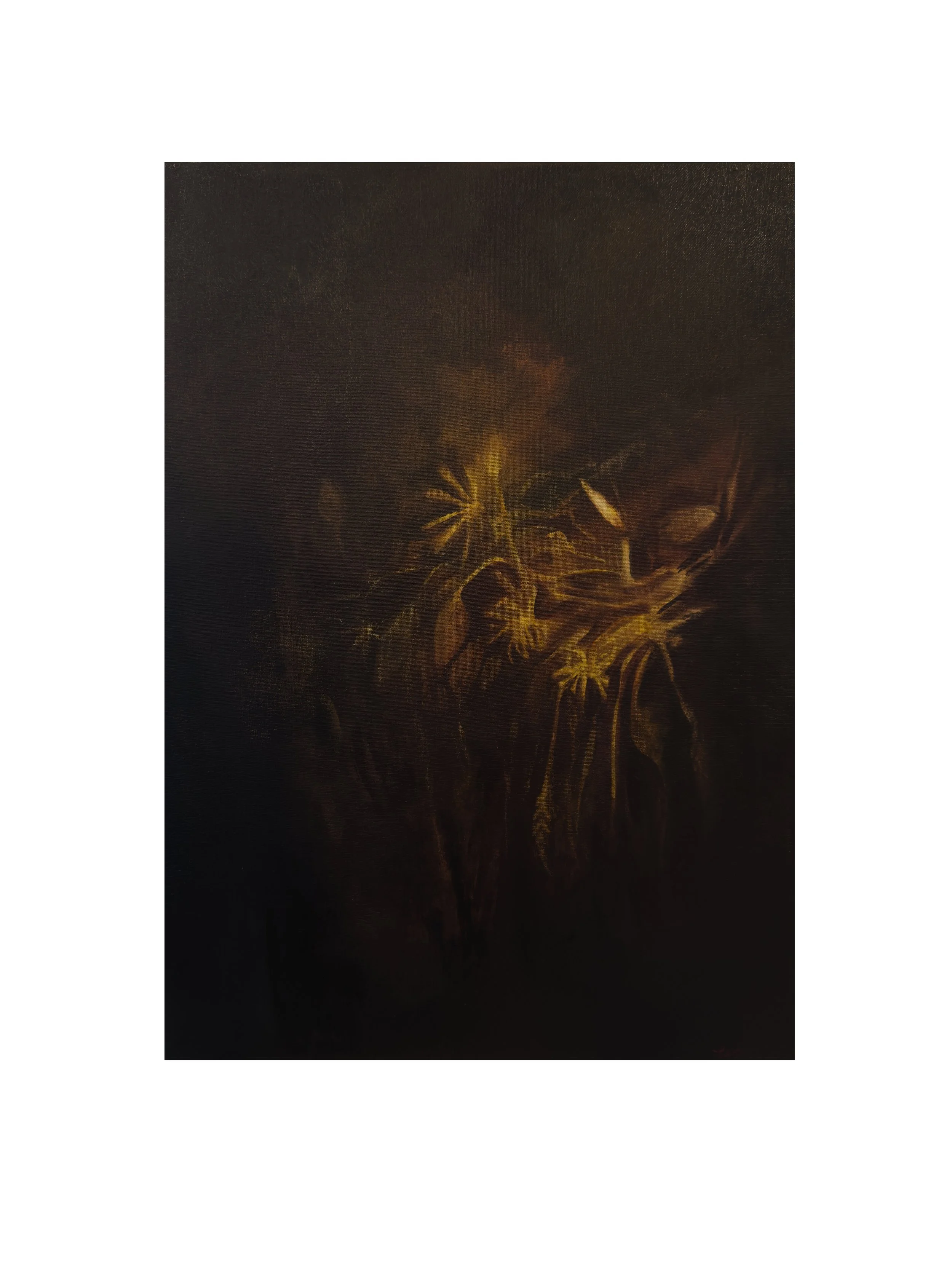 Where the Light Hides, 2026 Acrylic on Canvas
