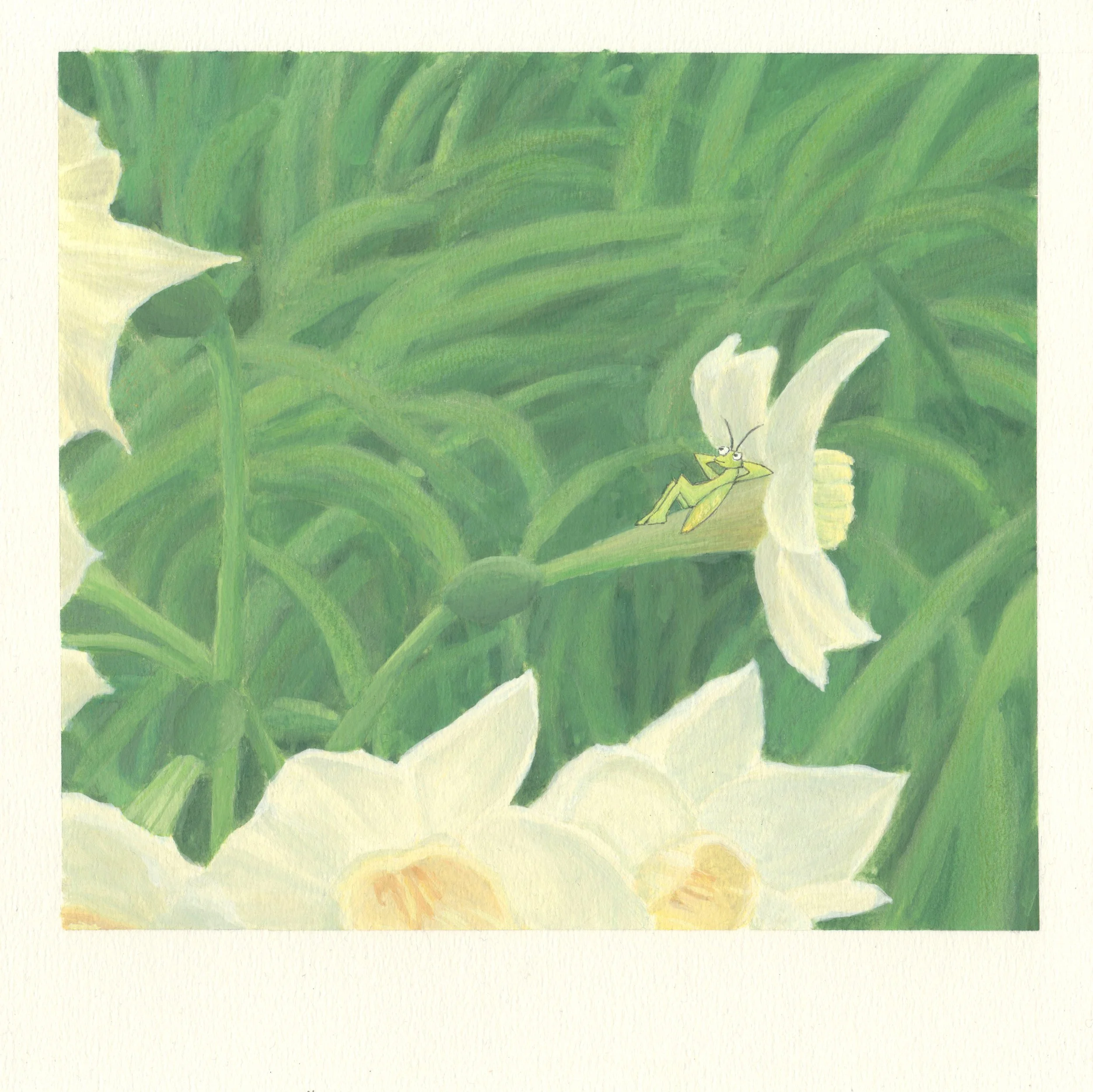 虫シリーズ_水仙のベッド_2024.jpg