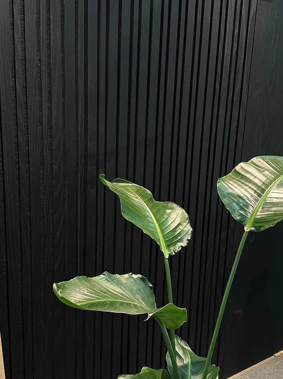 black ash barcode ribipaneel 6.jpg