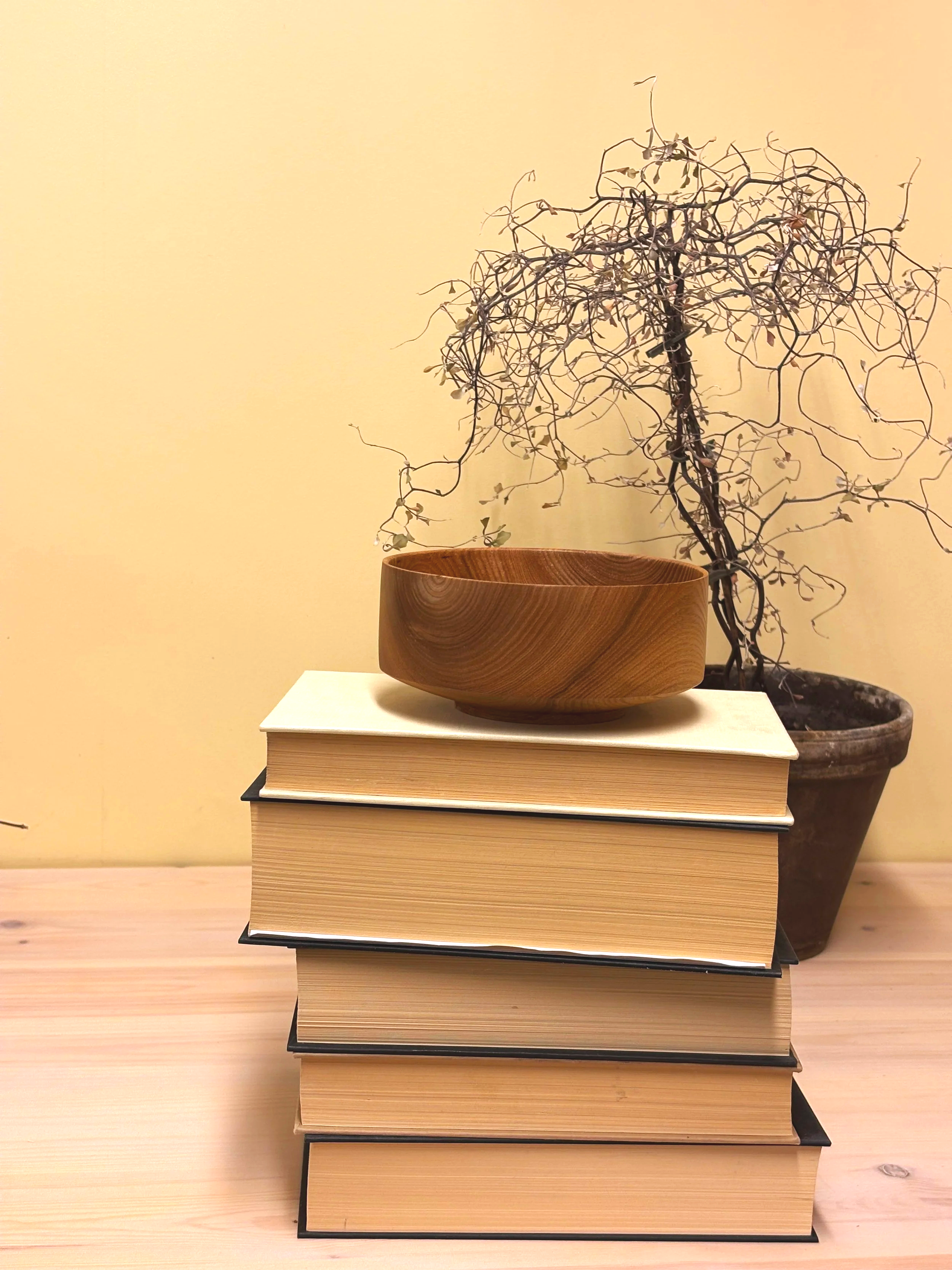 En bunt bøker med en trefarget tre skål på toppen, foran en pottetom tørket plante mot en lys gul vegg.