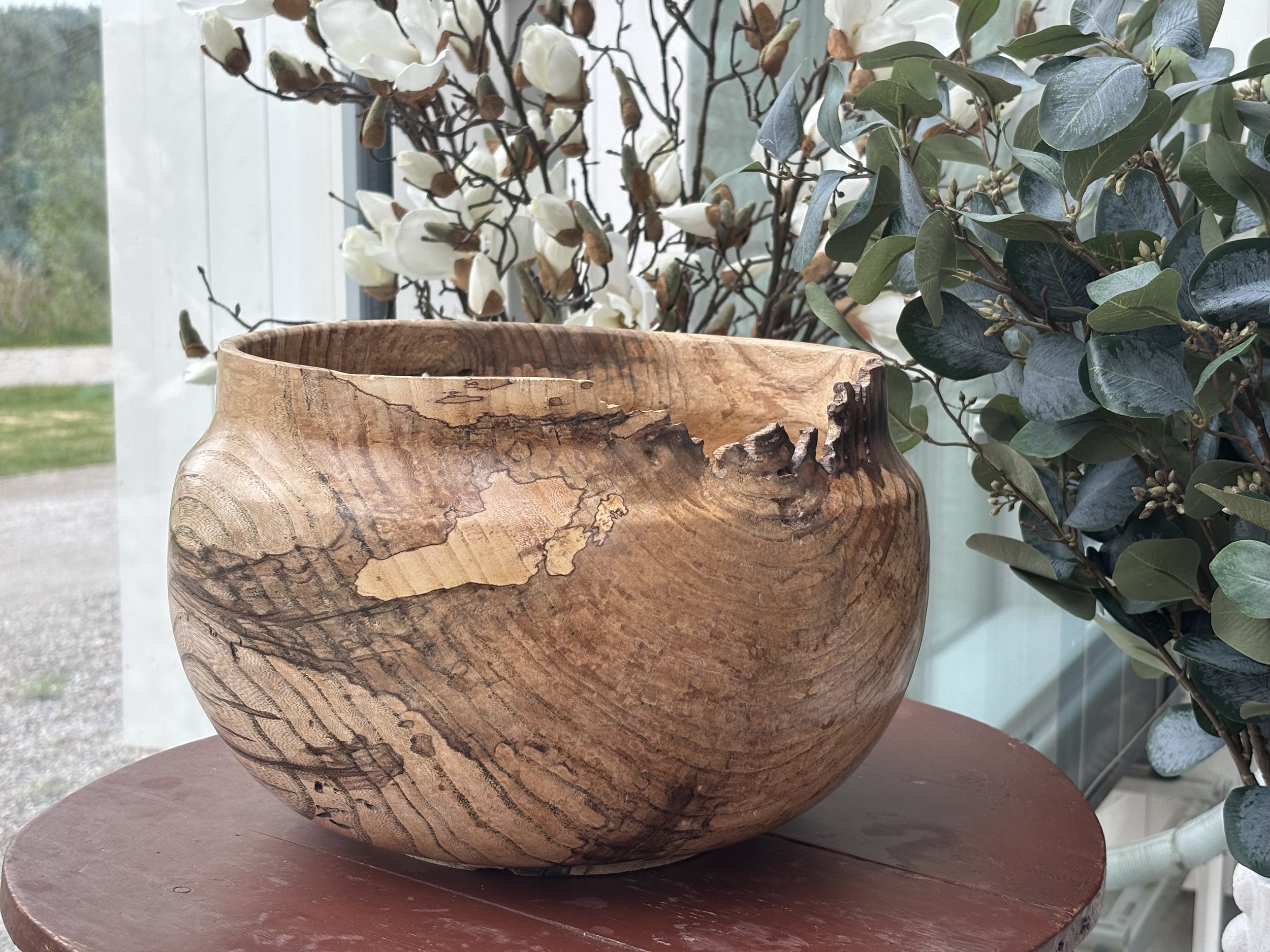 Trebolle i surnet alm