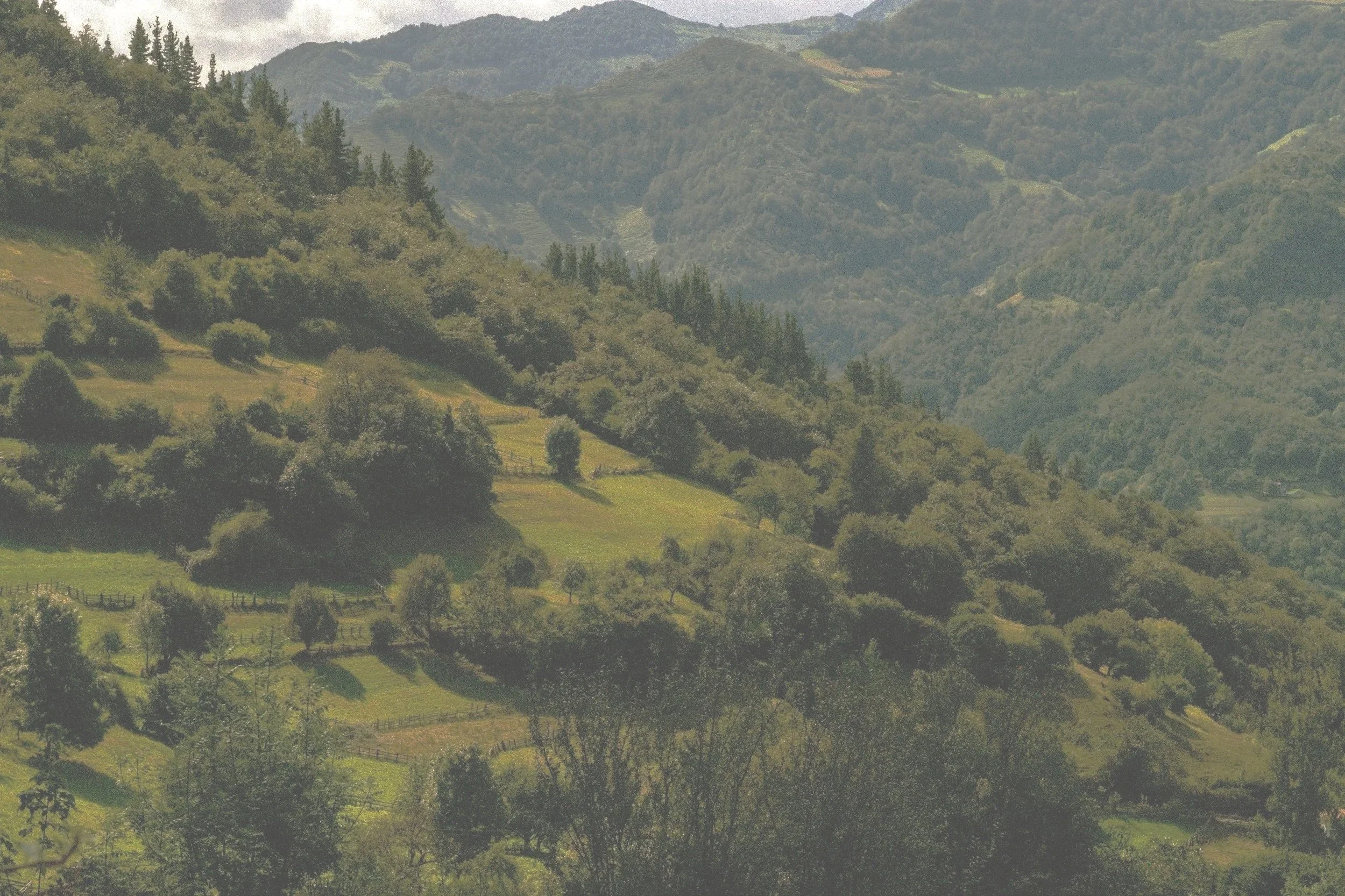 A landscape of rolling green hills and mountains covered with trees, with a partly cloudy sky above.